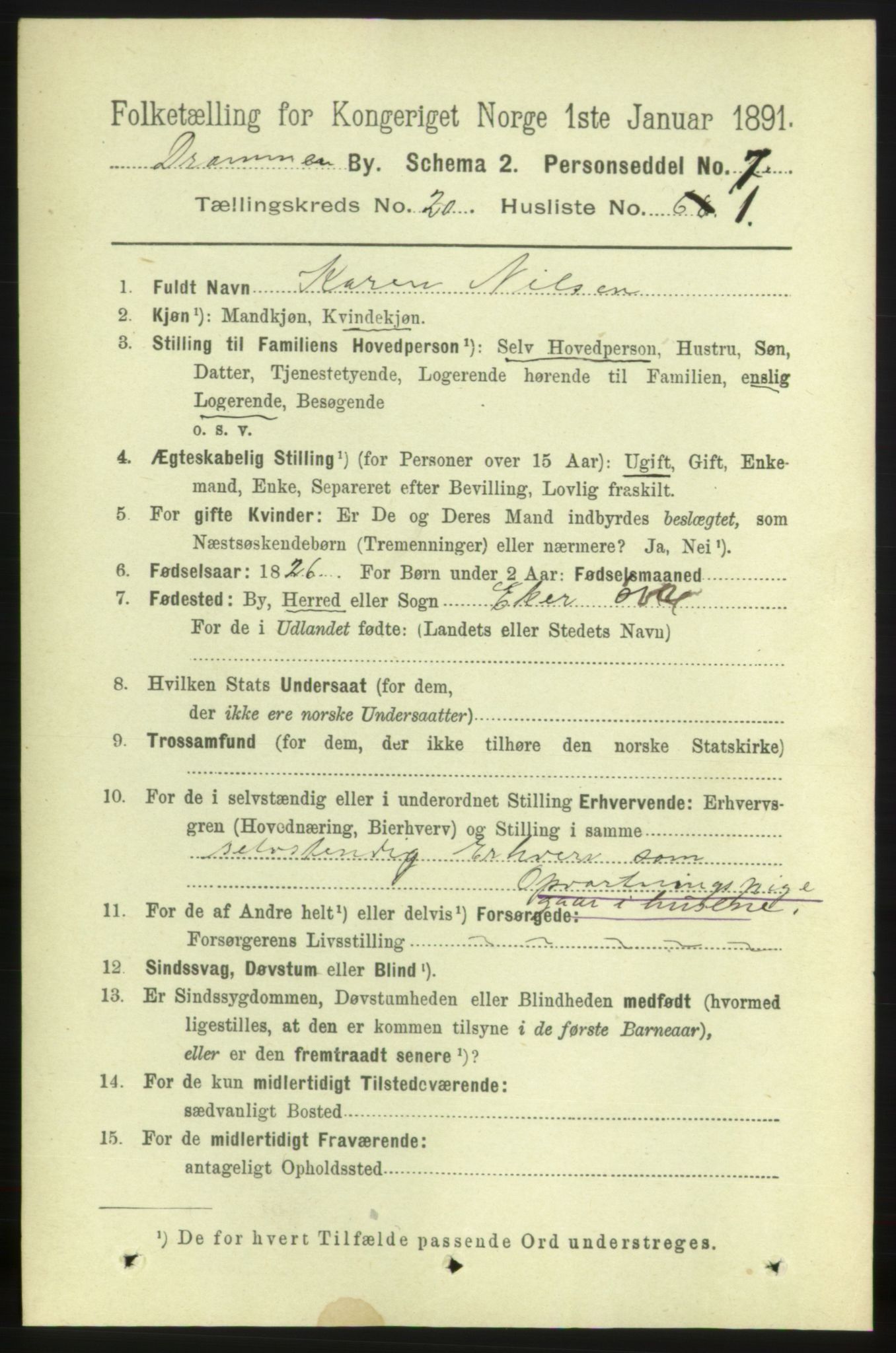 RA, 1891 census for 0602 Drammen, 1891, p. 12511