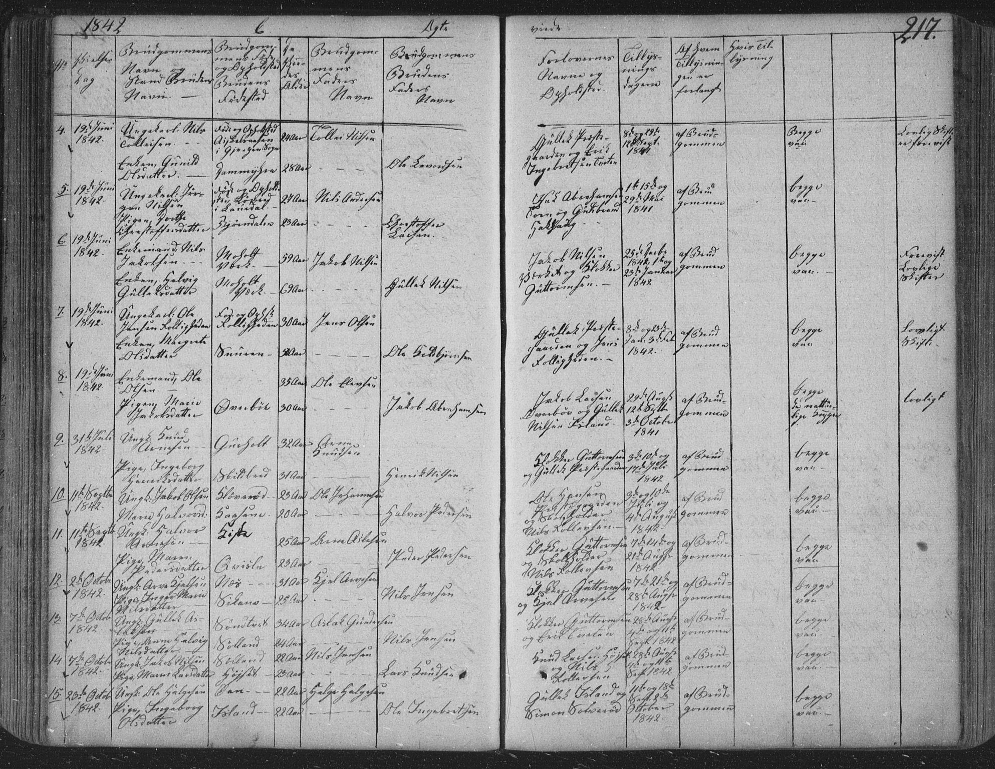 Siljan kirkebøker, SAKO/A-300/F/Fa/L0001: Parish register (official) no. 1, 1831-1870, p. 217
