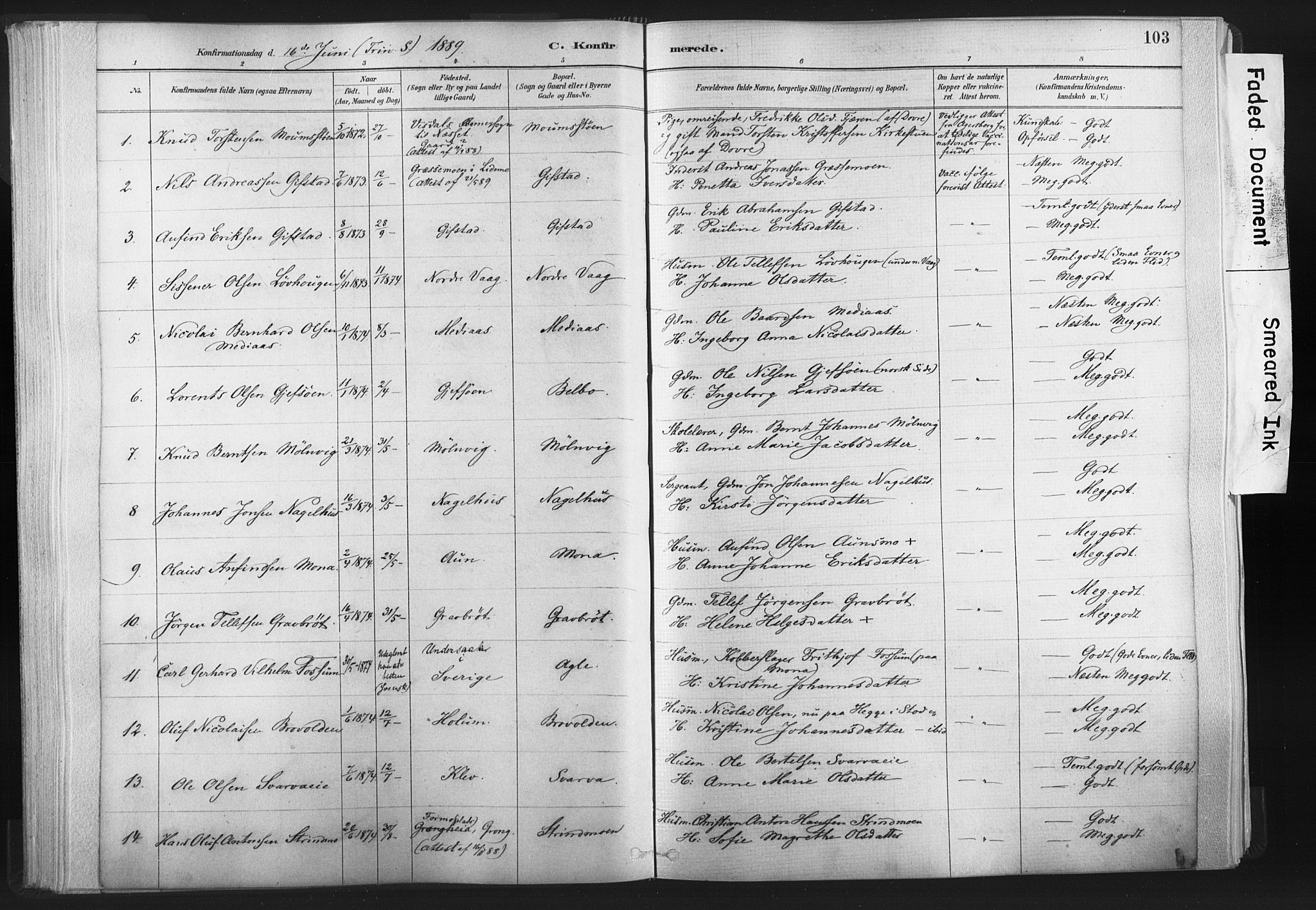 Ministerialprotokoller, klokkerbøker og fødselsregistre - Nord-Trøndelag, SAT/A-1458/749/L0474: Parish register (official) no. 749A08, 1887-1903, p. 103