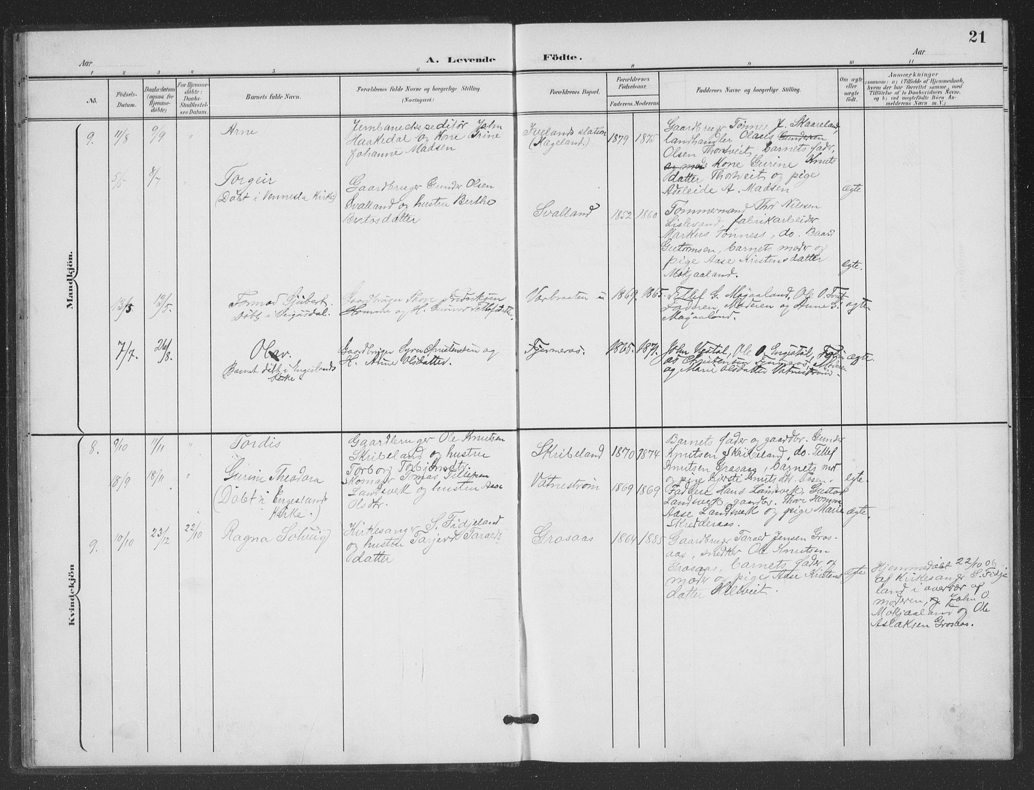 Evje sokneprestkontor, AV/SAK-1111-0008/F/Fb/Fbc/L0005: Parish register (copy) no. B 5, 1901-1935, p. 21