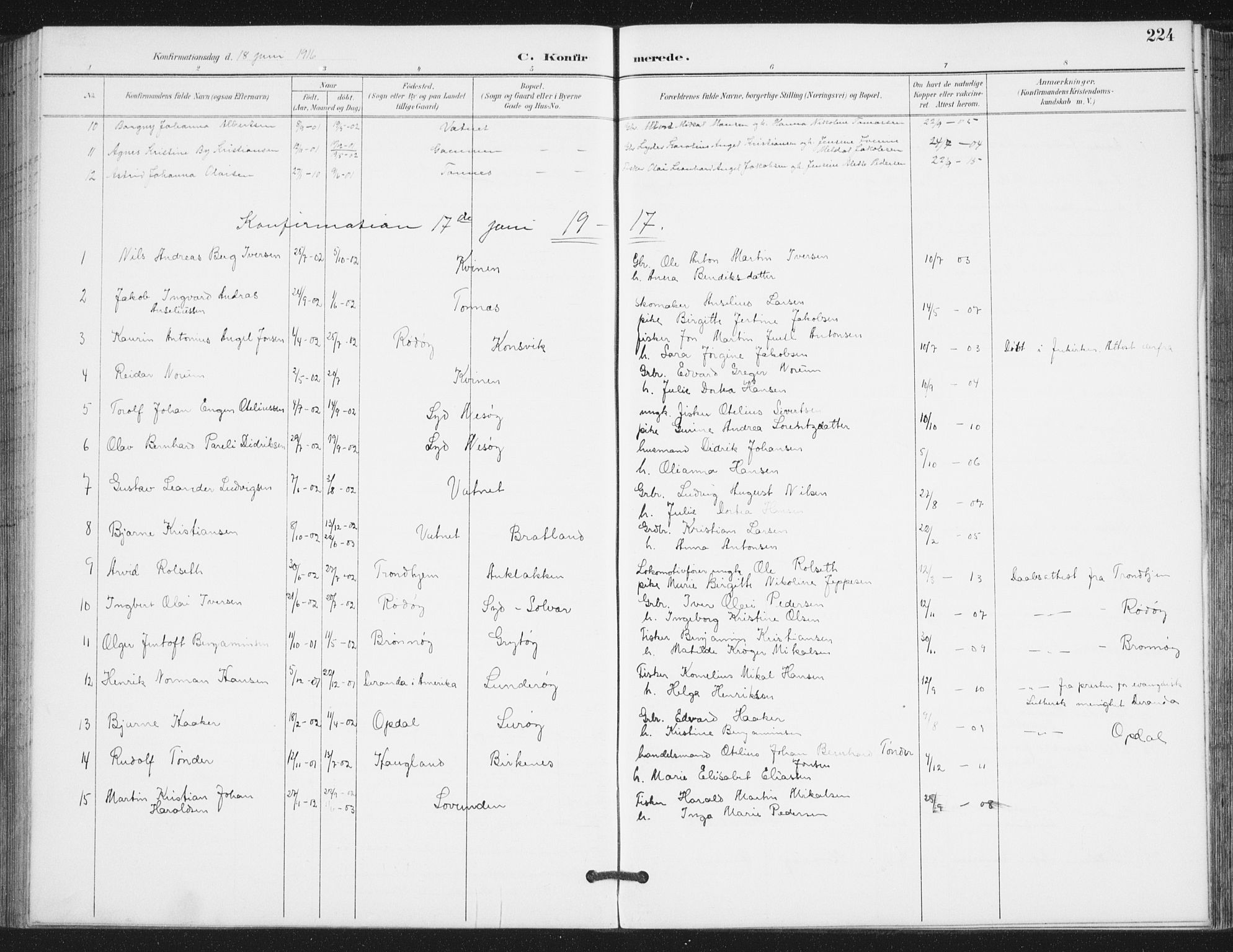 Ministerialprotokoller, klokkerbøker og fødselsregistre - Nordland, AV/SAT-A-1459/839/L0573: Parish register (copy) no. 839C03, 1892-1917, p. 224