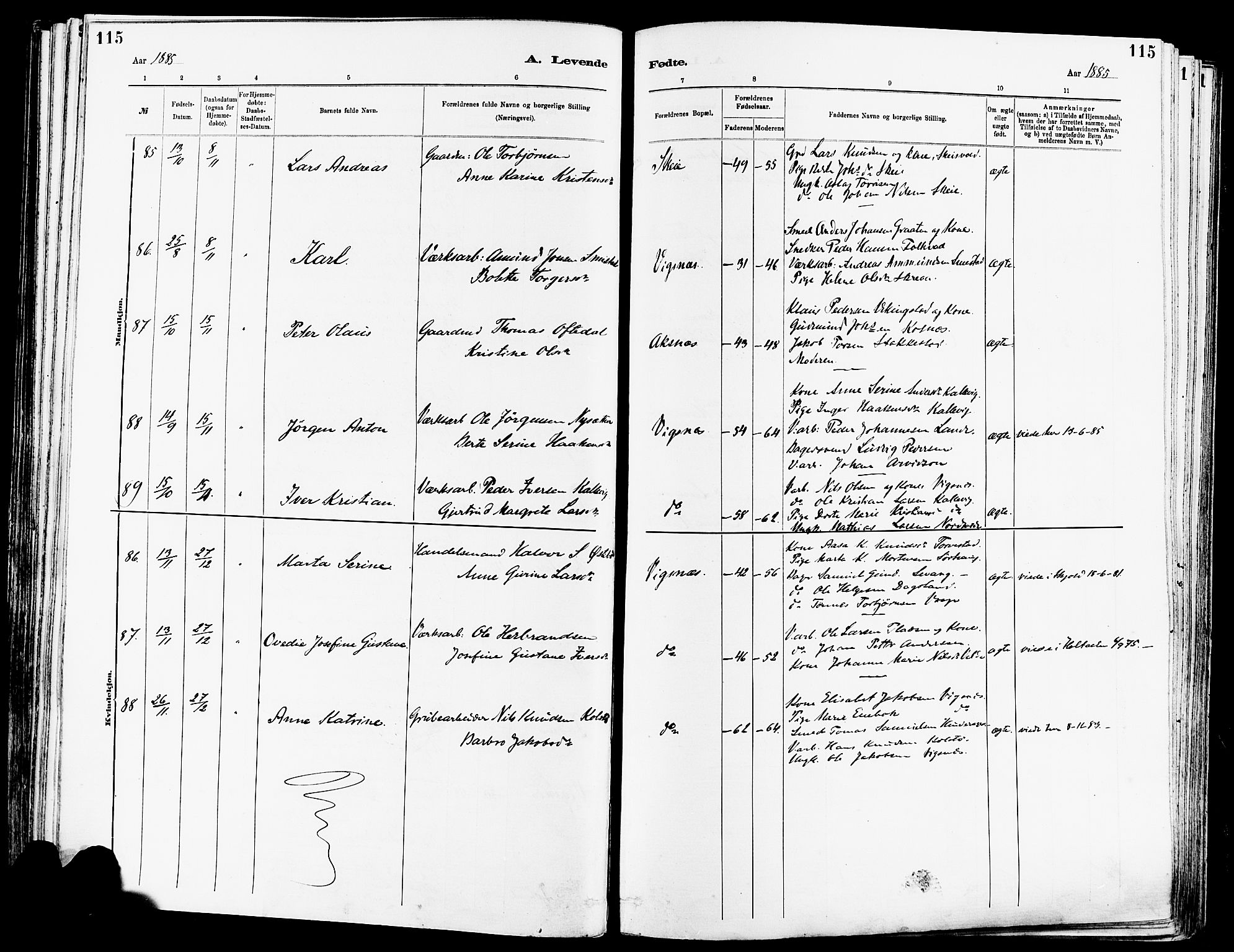 Avaldsnes sokneprestkontor, AV/SAST-A -101851/H/Ha/Haa/L0014: Parish register (official) no. A 14, 1880-1889, p. 115