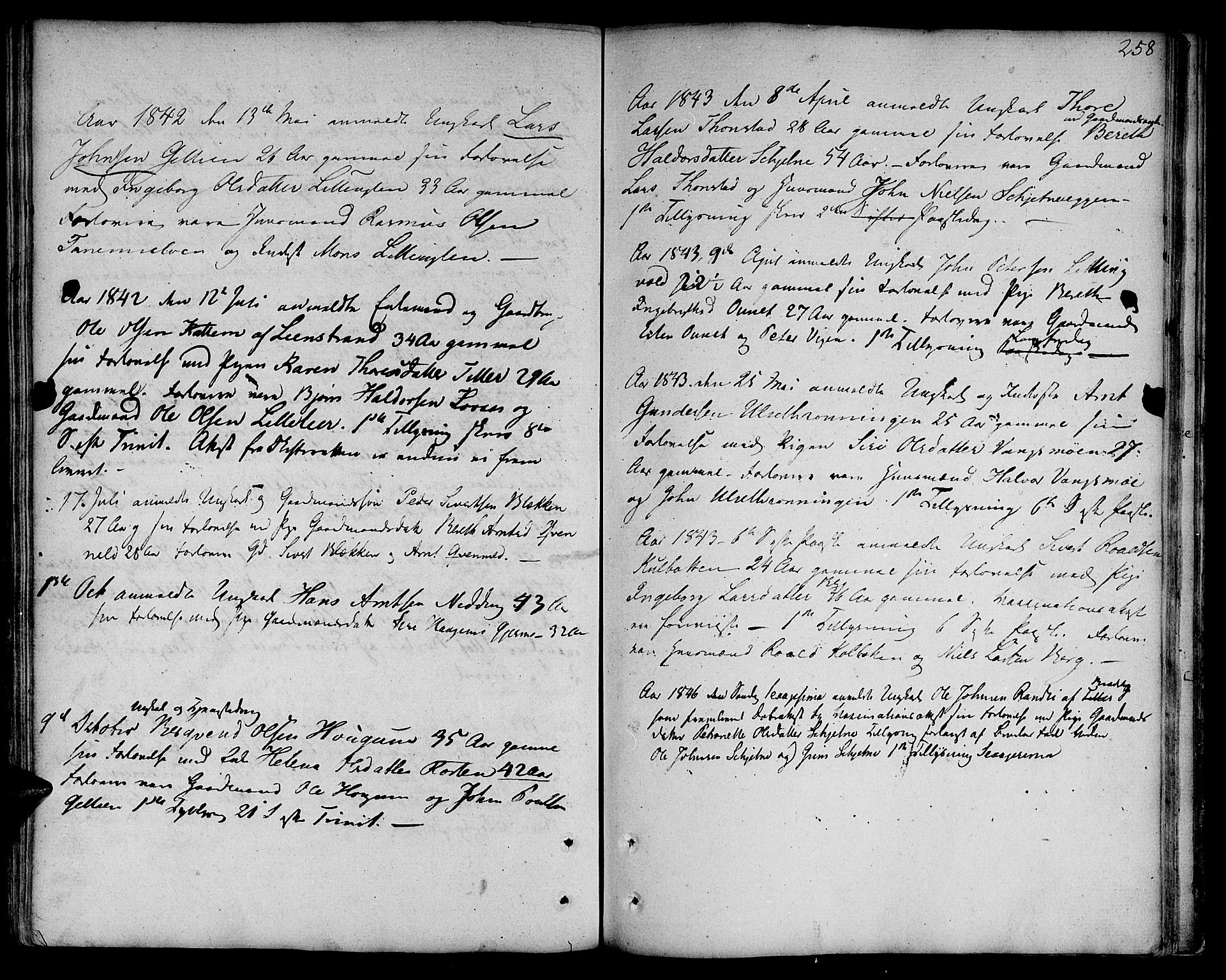 Ministerialprotokoller, klokkerbøker og fødselsregistre - Sør-Trøndelag, AV/SAT-A-1456/618/L0438: Parish register (official) no. 618A03, 1783-1815, p. 258