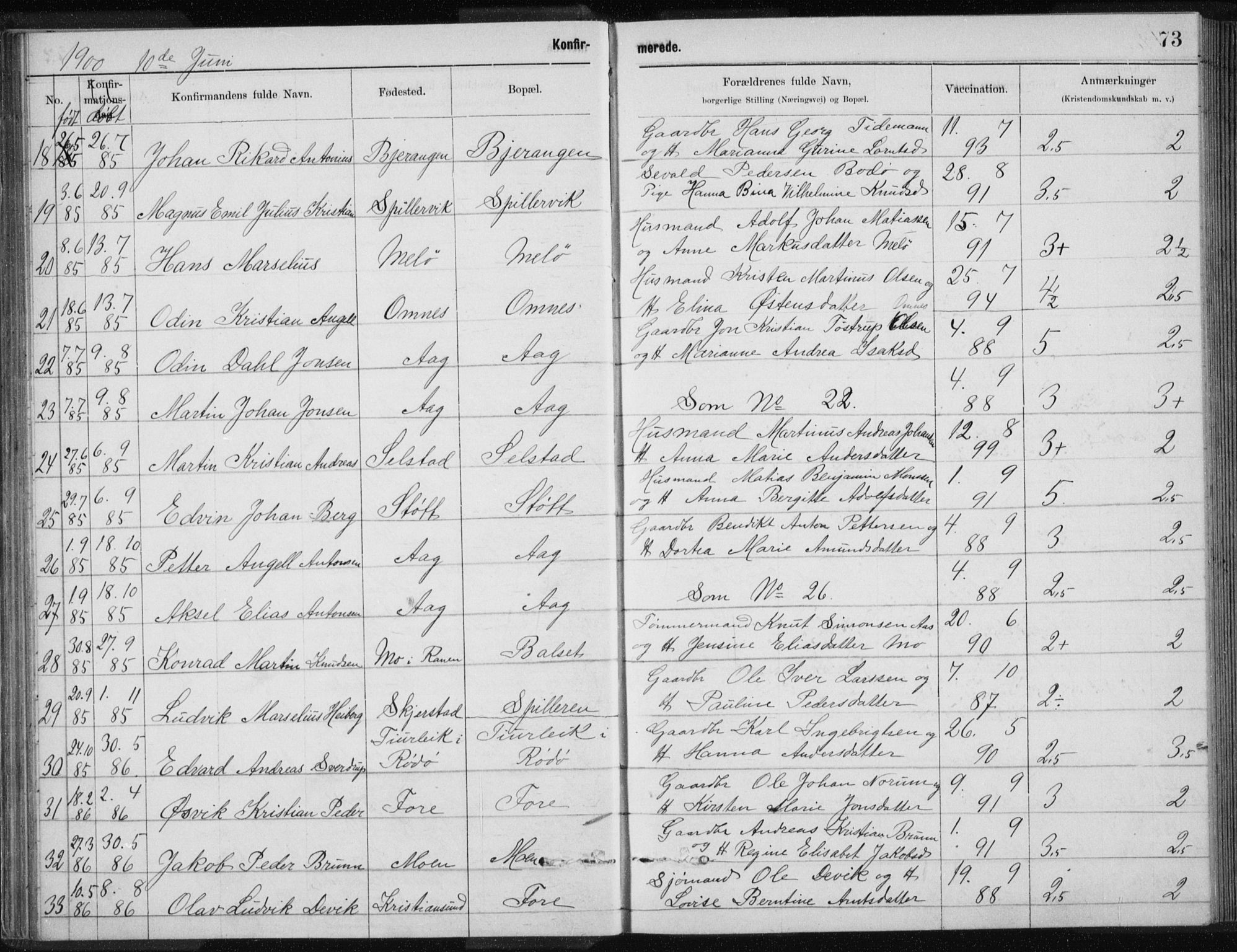 Ministerialprotokoller, klokkerbøker og fødselsregistre - Nordland, SAT/A-1459/843/L0637: Parish register (copy) no. 843C06, 1884-1908, p. 73