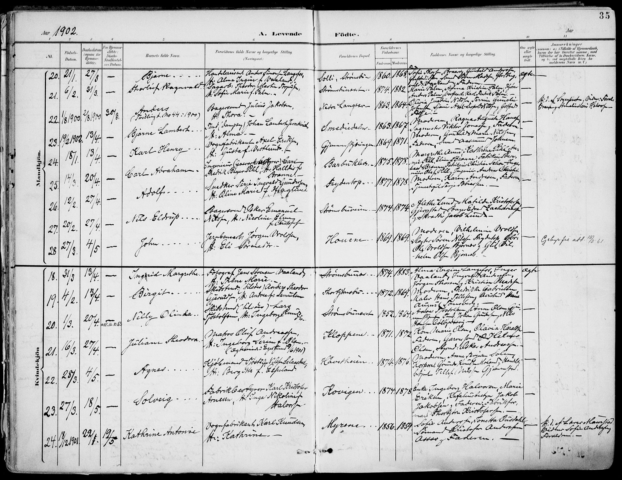 Barbu sokneprestkontor, AV/SAK-1111-0003/F/Fa/L0005: Parish register (official) no. A 5, 1899-1909, p. 35