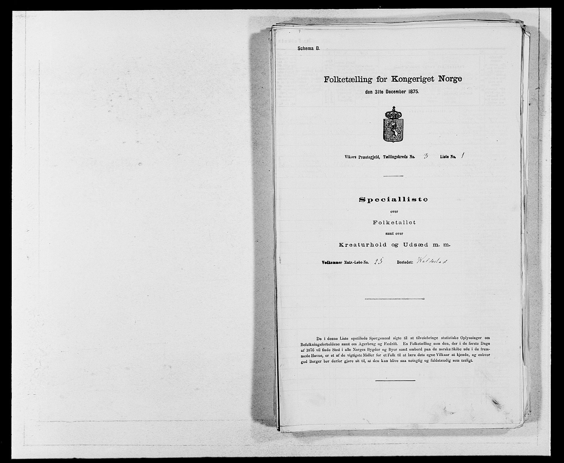 SAB, 1875 census for 1238P Vikør, 1875, p. 343