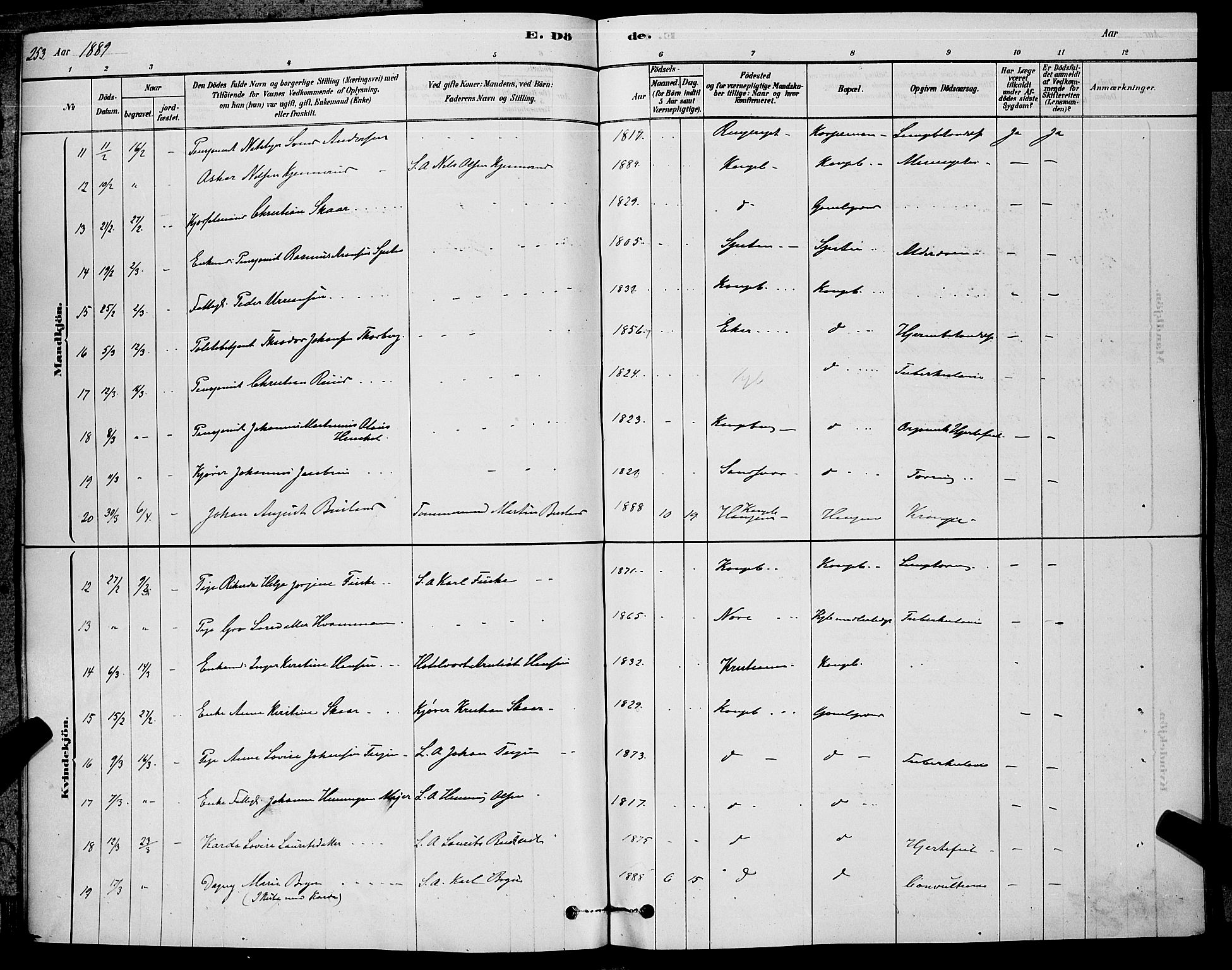 Kongsberg kirkebøker, SAKO/A-22/G/Ga/L0005: Parish register (copy) no. 5, 1878-1889, p. 253
