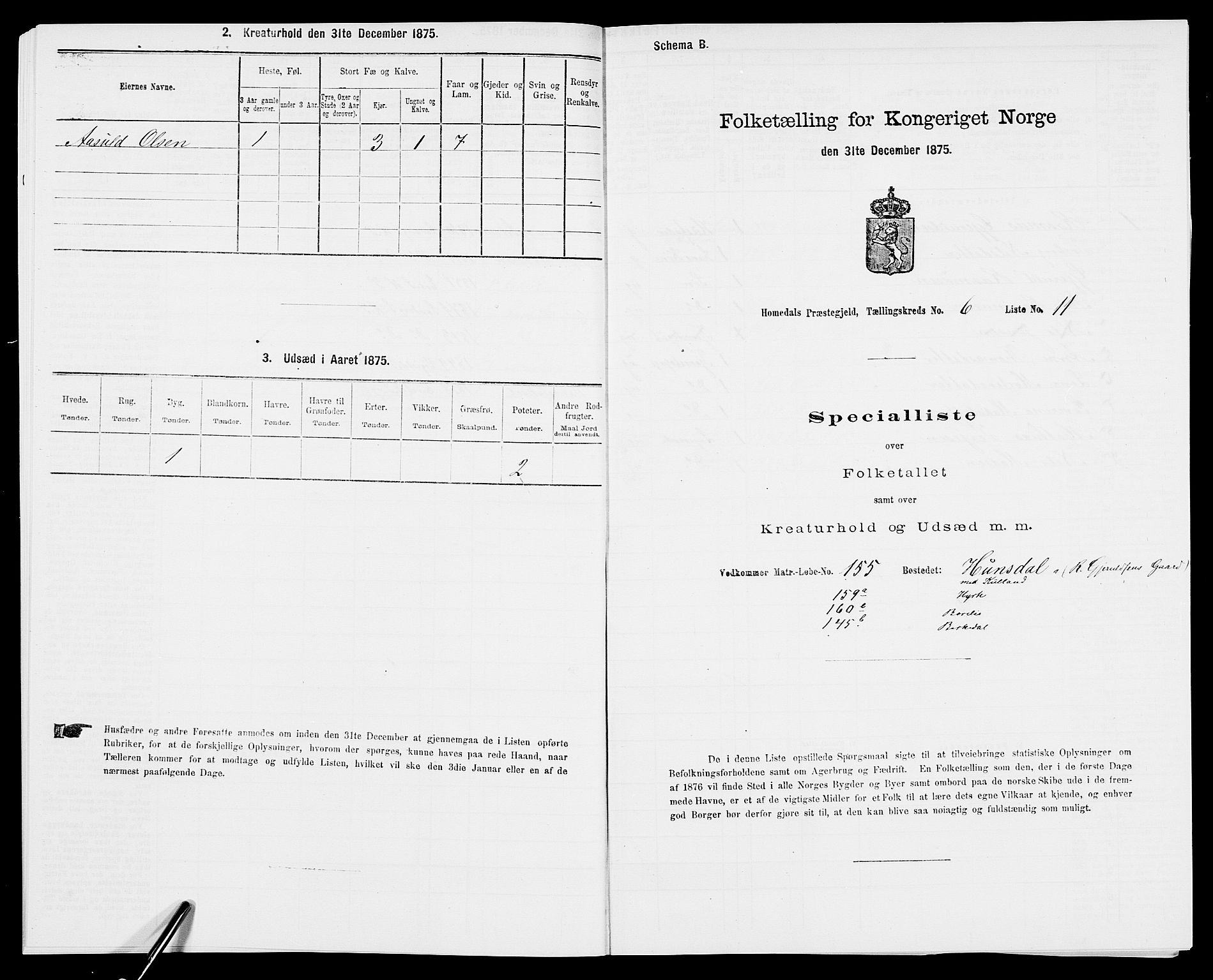 SAK, 1875 census for 0924P Homedal, 1875, p. 1058