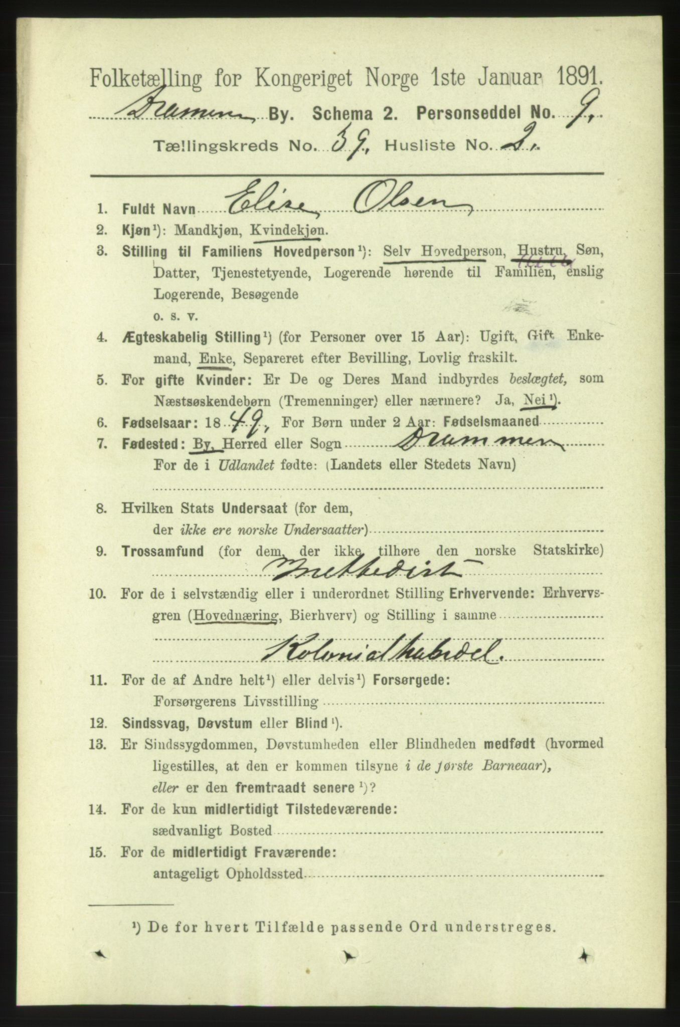 RA, 1891 census for 0602 Drammen, 1891, p. 23313