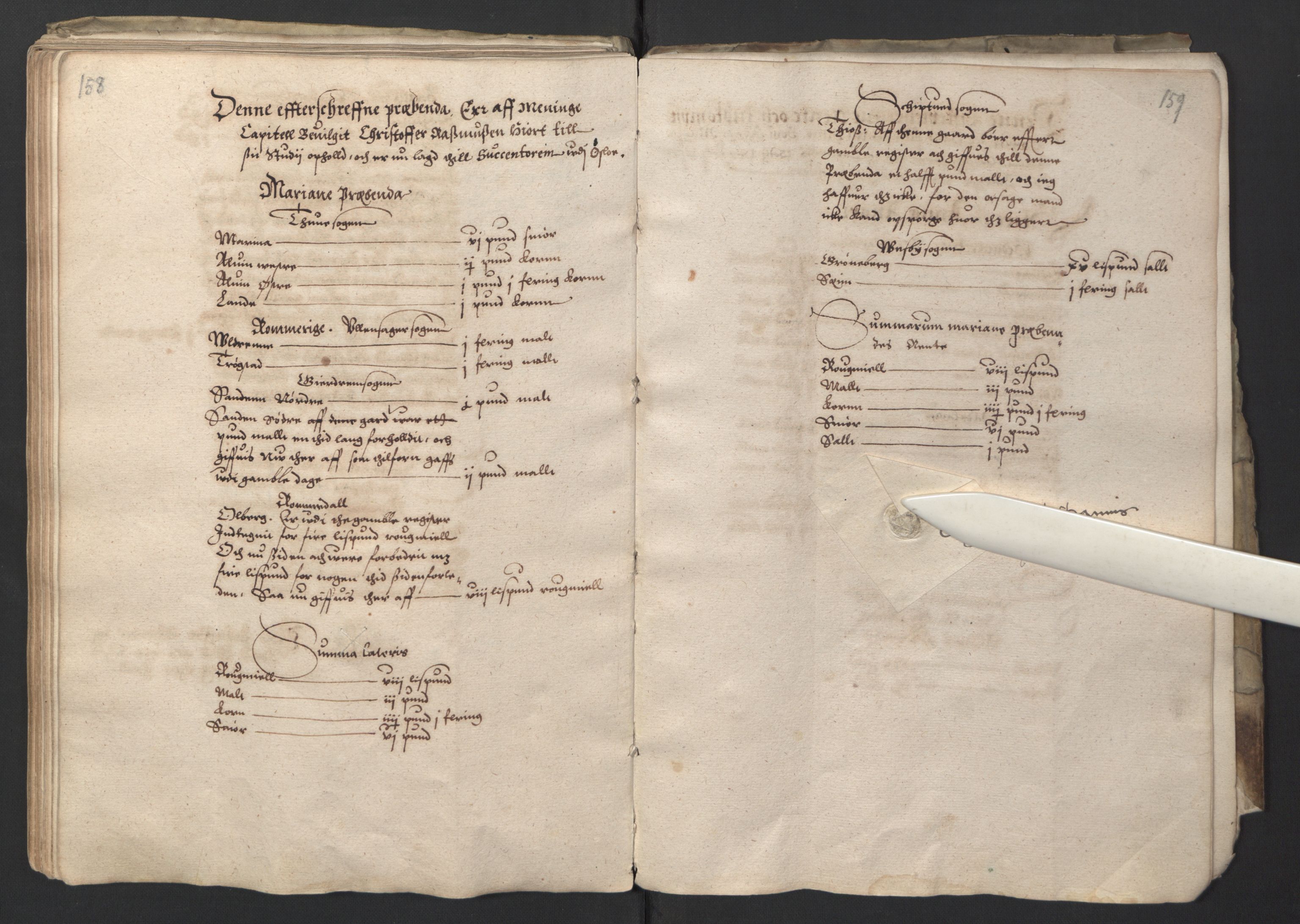 Stattholderembetet 1572-1771, AV/RA-EA-2870/Ek/L0001/0001: Jordebøker før 1624 og til utligning av garnisonsskatt 1624-1626: / Jordebok for Oslo kapitel, 1595, p. 98