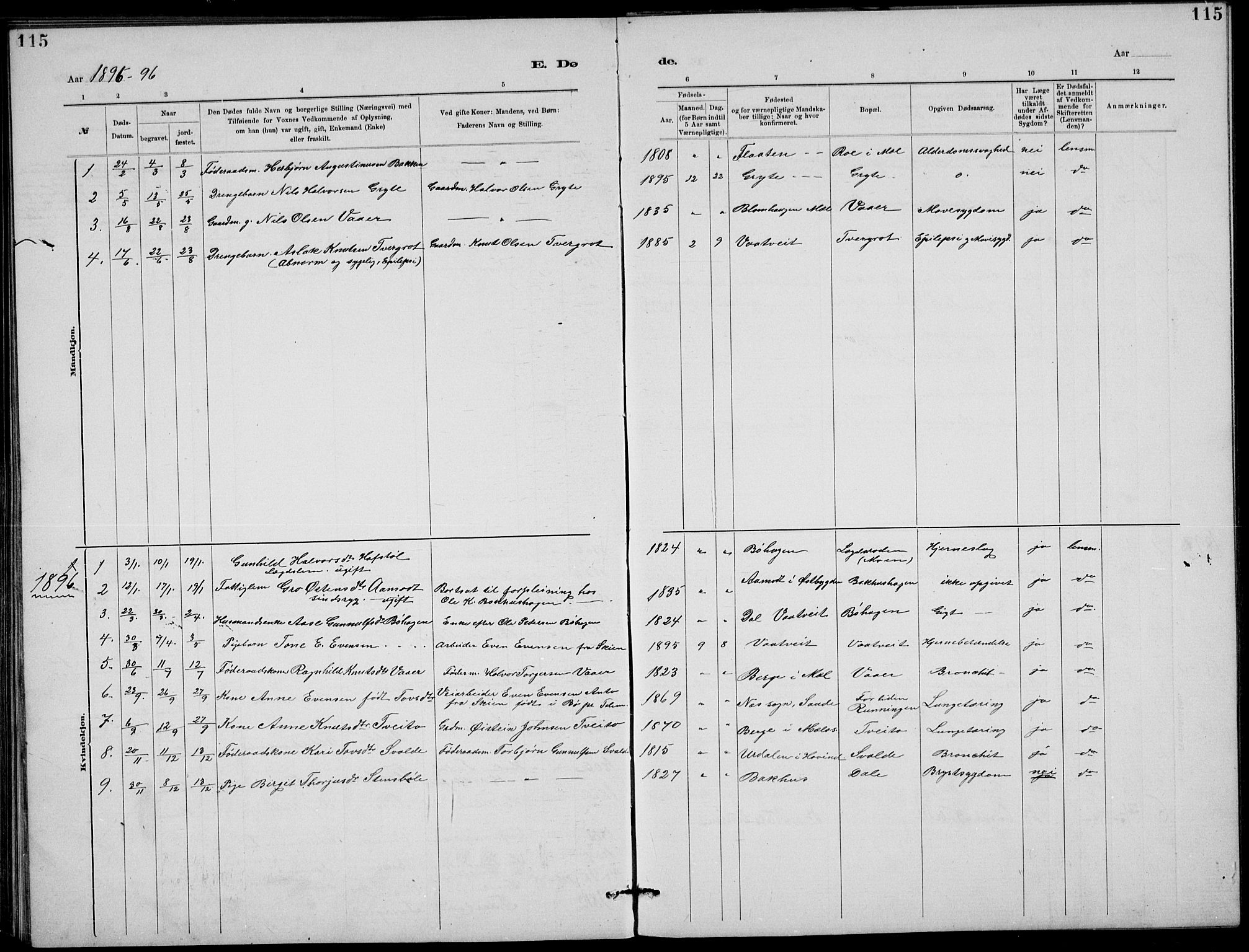 Rjukan kirkebøker, SAKO/A-294/G/Ga/L0001: Parish register (copy) no. 1, 1880-1914, p. 115