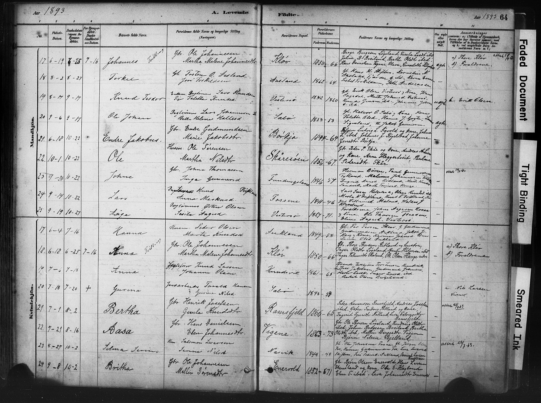 Hjelmeland sokneprestkontor, AV/SAST-A-101843/01/IV/L0014: Parish register (official) no. A 14, 1879-1900, p. 64