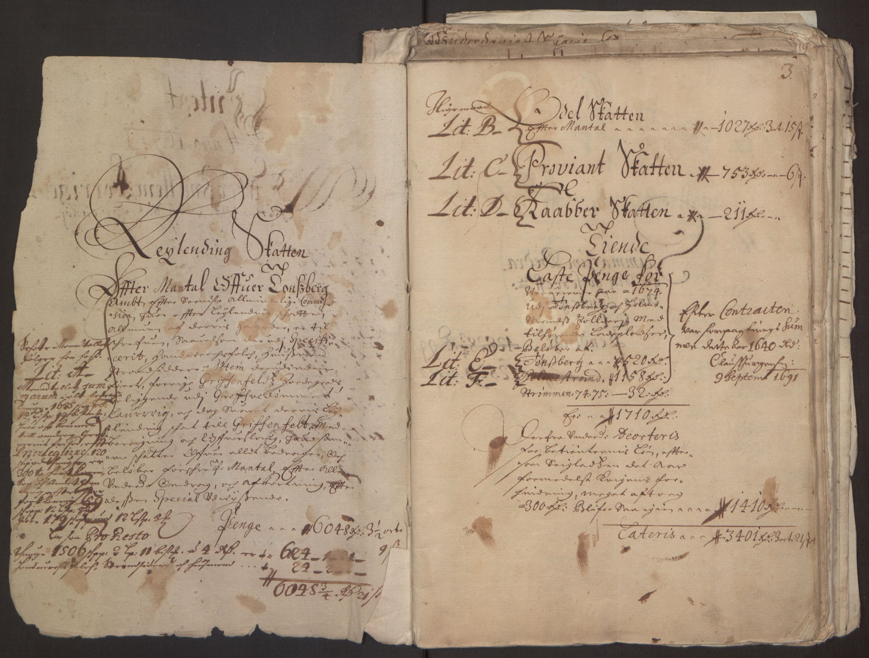 Rentekammeret inntil 1814, Reviderte regnskaper, Fogderegnskap, RA/EA-4092/R32/L1843: Fogderegnskap Jarlsberg grevskap, 1674-1675, p. 4