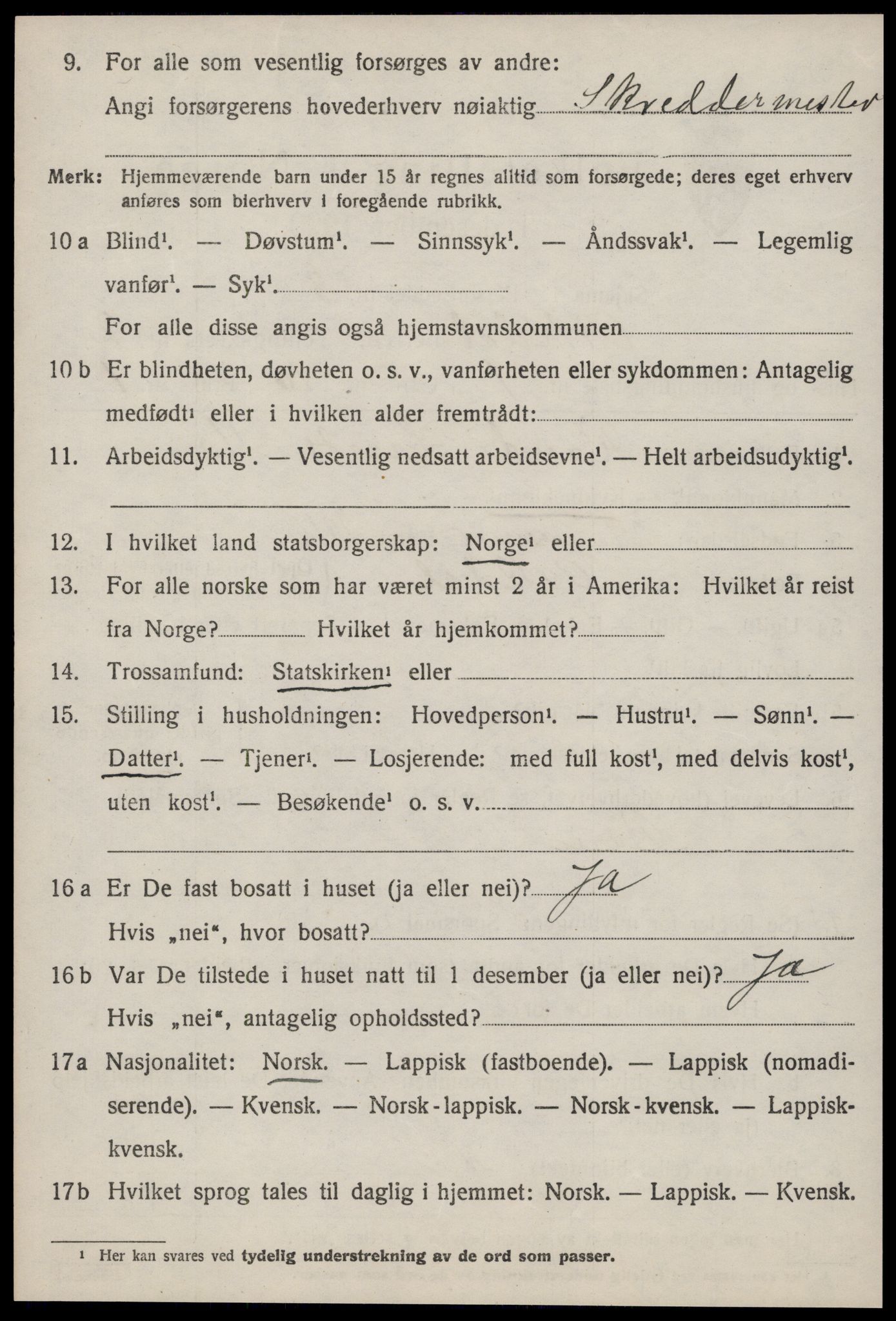 SAT, 1920 census for Orkdal, 1920, p. 2067