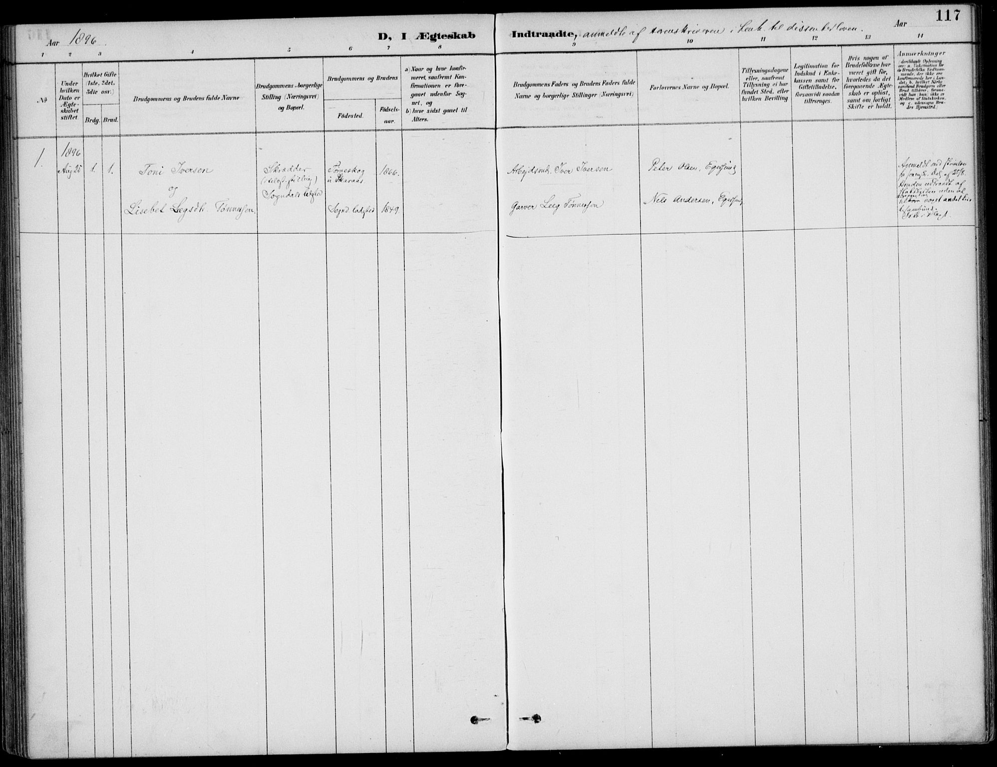 Sokndal sokneprestkontor, AV/SAST-A-101808: Parish register (official) no. A 12, 1887-1927, p. 117