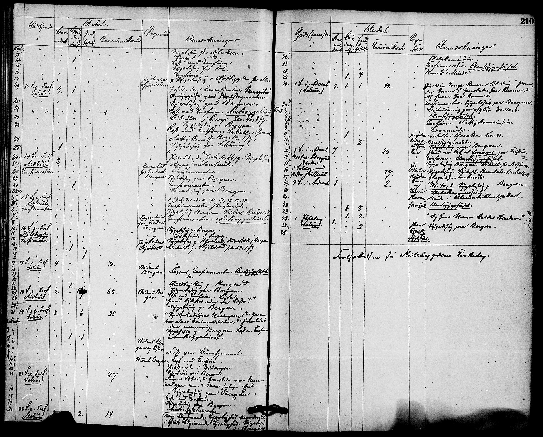 Solum kirkebøker, AV/SAKO-A-306/F/Fb/L0001: Parish register (official) no. II 1, 1877-1892, p. 210