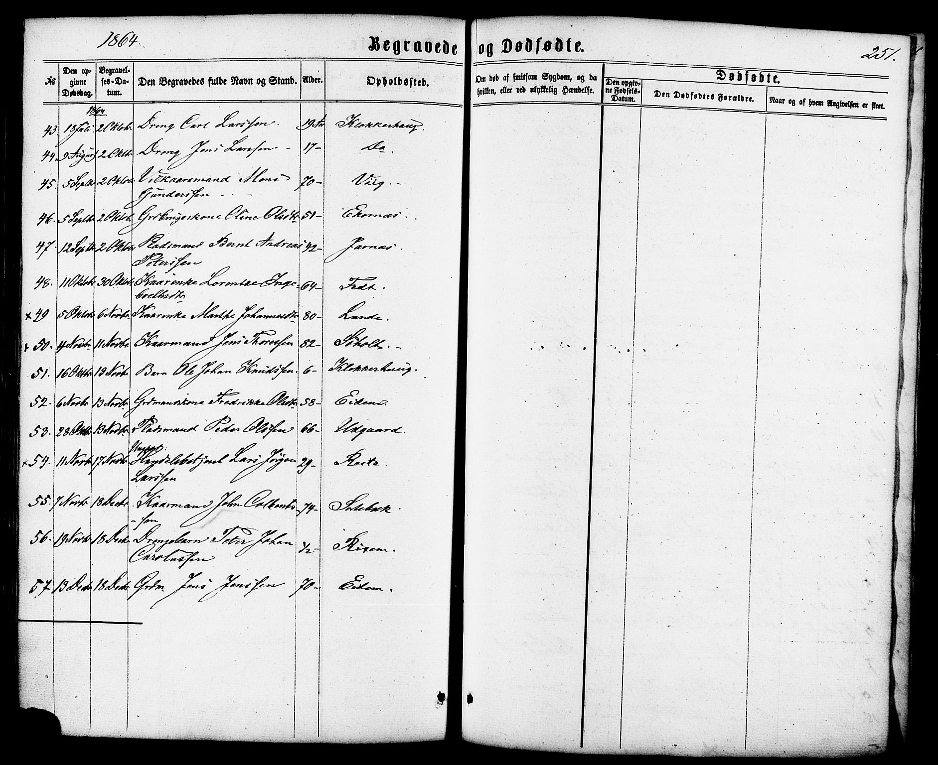 Ministerialprotokoller, klokkerbøker og fødselsregistre - Møre og Romsdal, AV/SAT-A-1454/522/L0314: Parish register (official) no. 522A09, 1863-1877, p. 251