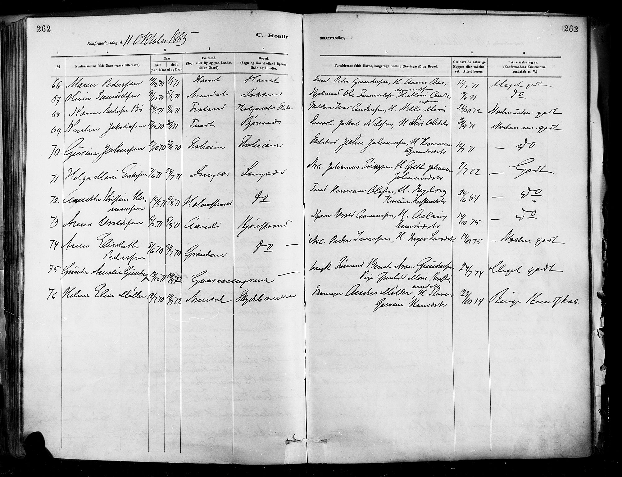 Barbu sokneprestkontor, AV/SAK-1111-0003/F/Fa/L0002: Parish register (official) no. A 2, 1883-1898, p. 262