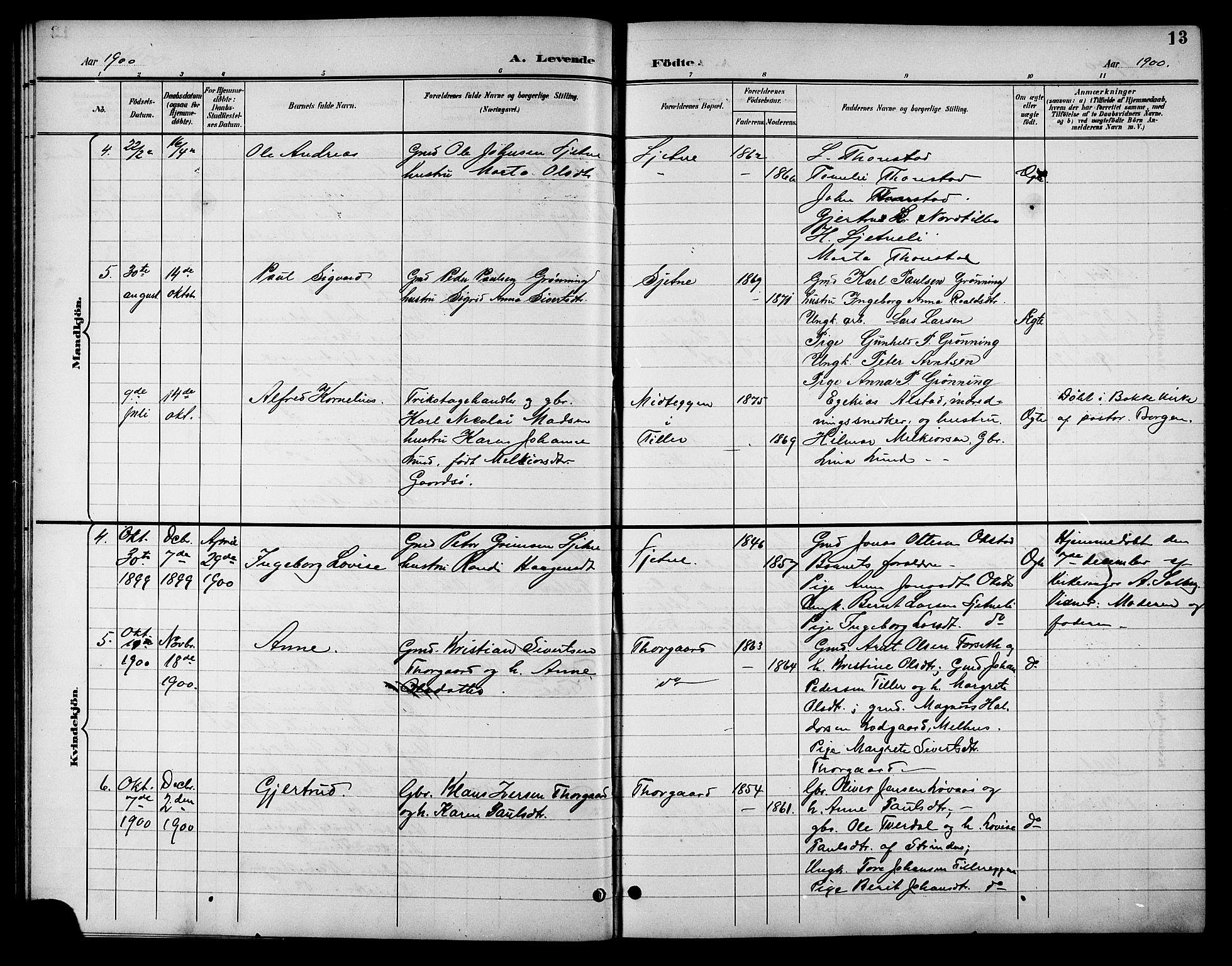 Ministerialprotokoller, klokkerbøker og fødselsregistre - Sør-Trøndelag, SAT/A-1456/621/L0460: Parish register (copy) no. 621C03, 1896-1914, p. 13