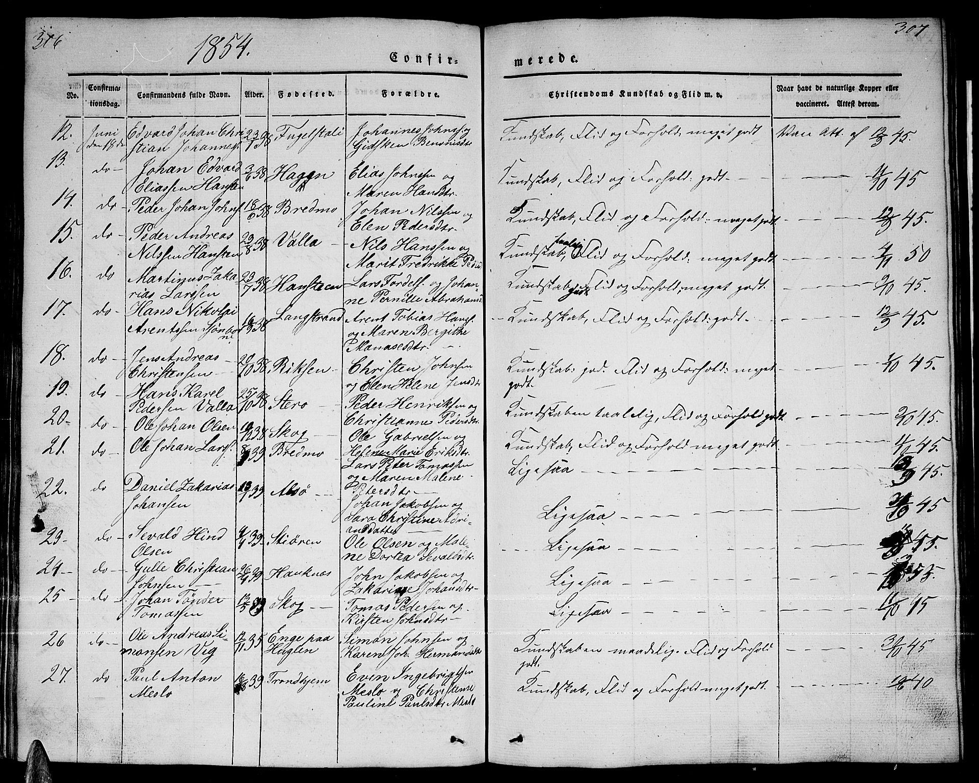 Ministerialprotokoller, klokkerbøker og fødselsregistre - Nordland, AV/SAT-A-1459/838/L0555: Parish register (copy) no. 838C02, 1842-1861, p. 306-307