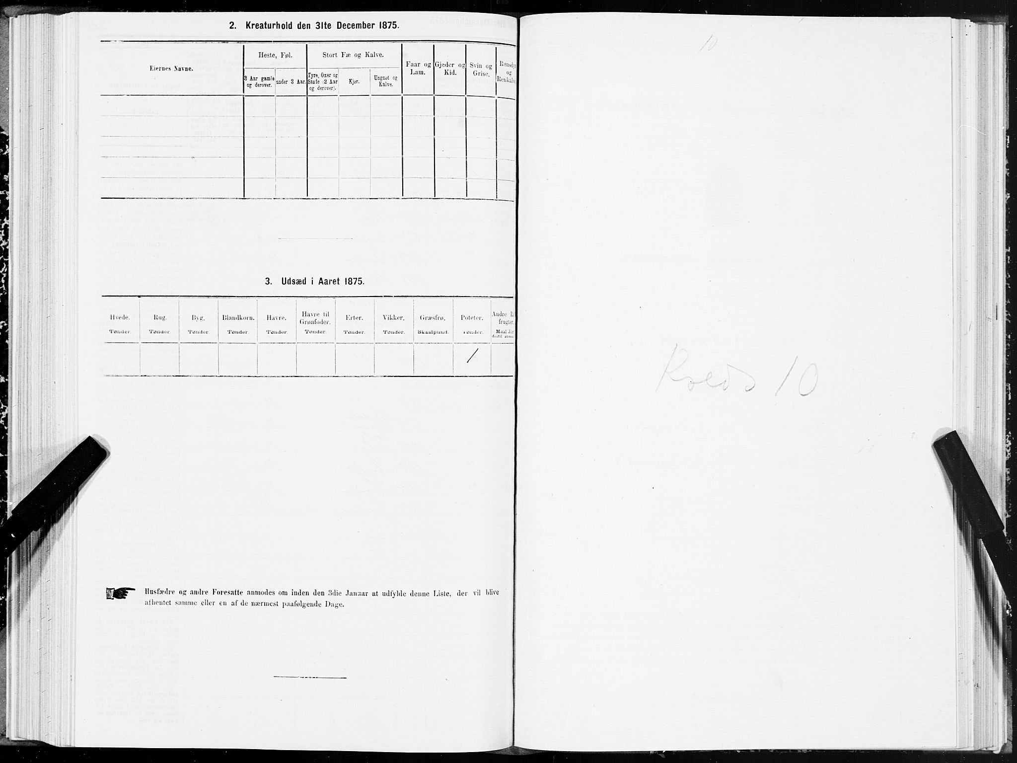 SAT, 1875 census for 1702B Steinkjer/Steinkjer, 1875