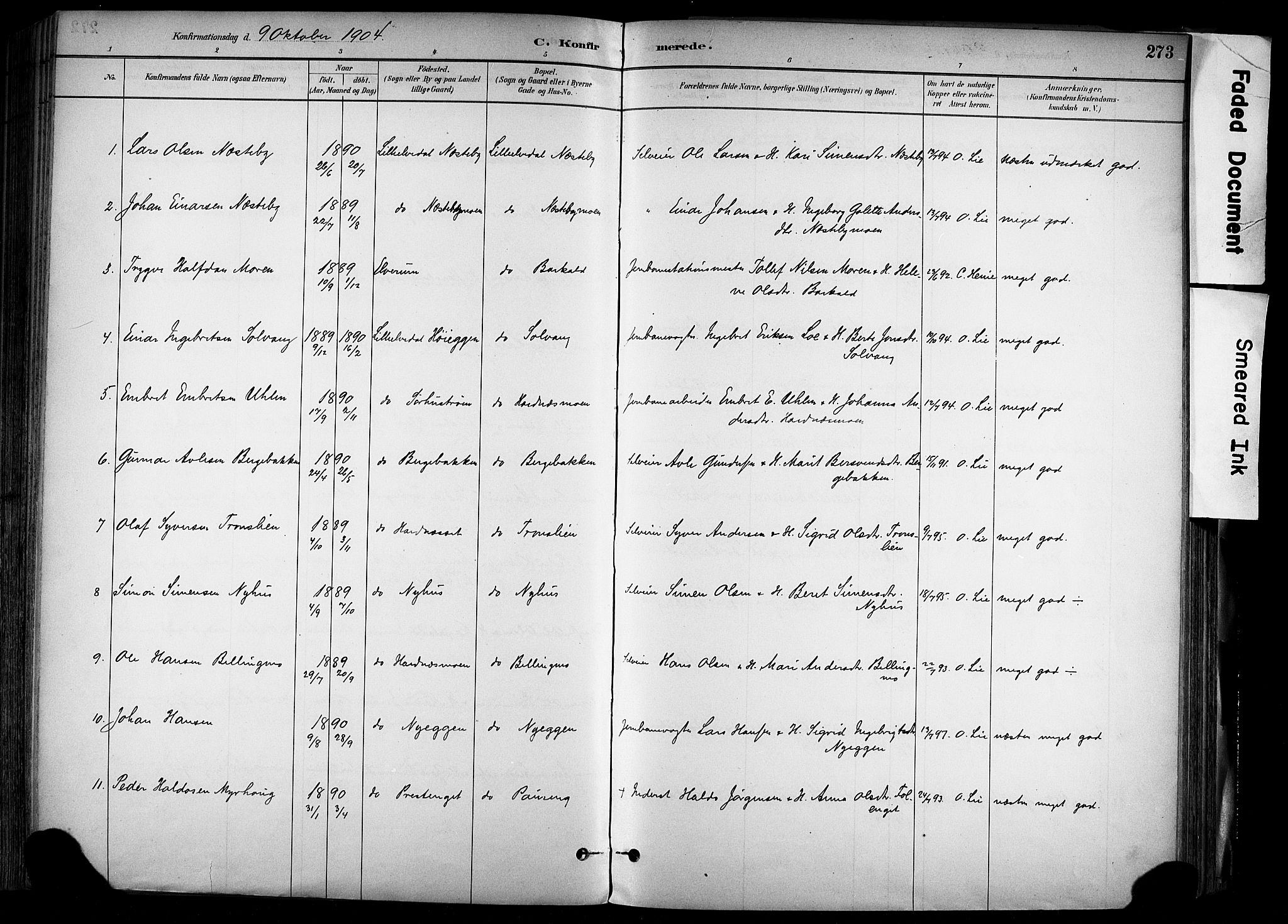Alvdal prestekontor, SAH/PREST-060/H/Ha/Haa/L0002: Parish register (official) no. 2, 1883-1906, p. 273