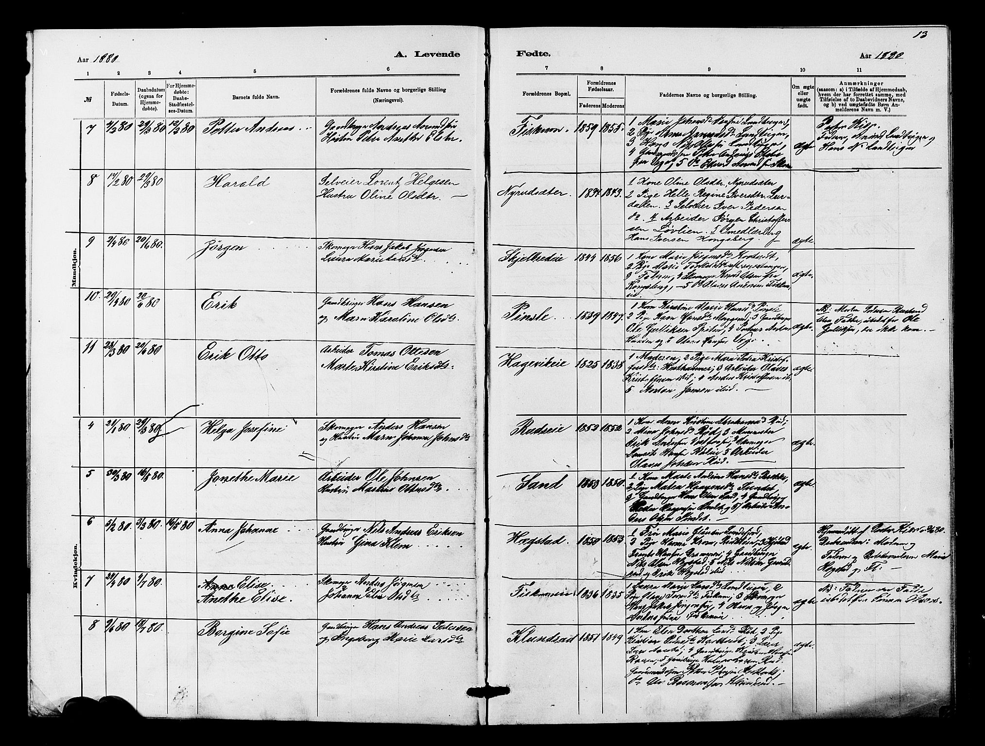 Fiskum kirkebøker, AV/SAKO-A-15/G/Ga/L0004: Parish register (copy) no. 4, 1878-1887, p. 13