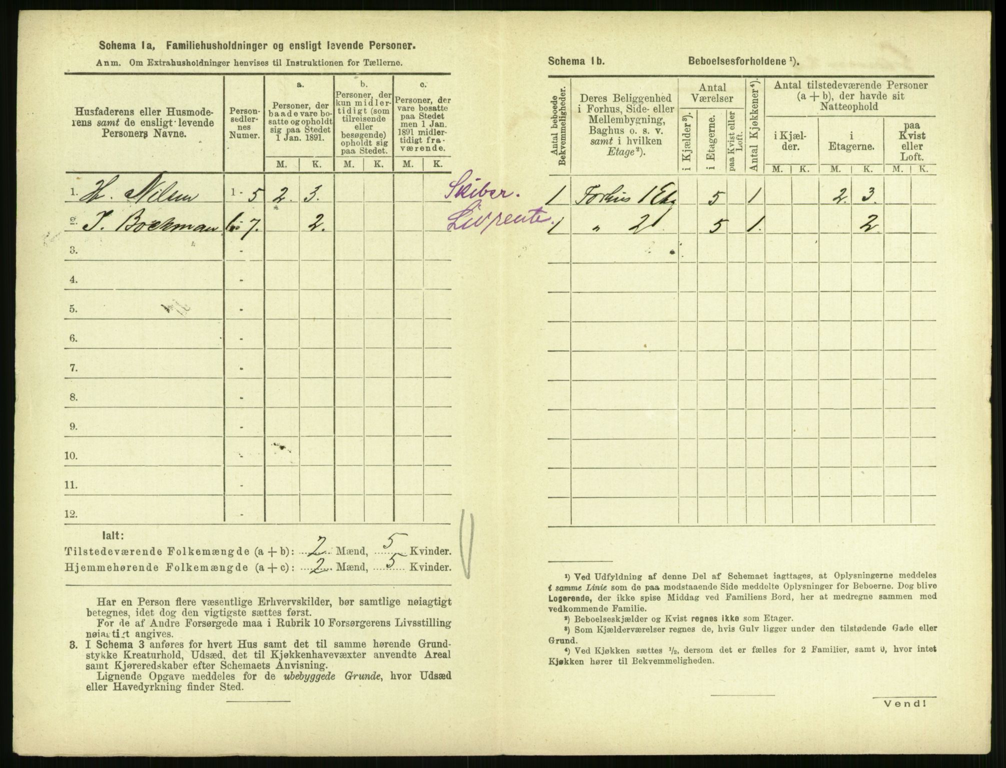 RA, 1891 census for 0707 Larvik, 1891, p. 218