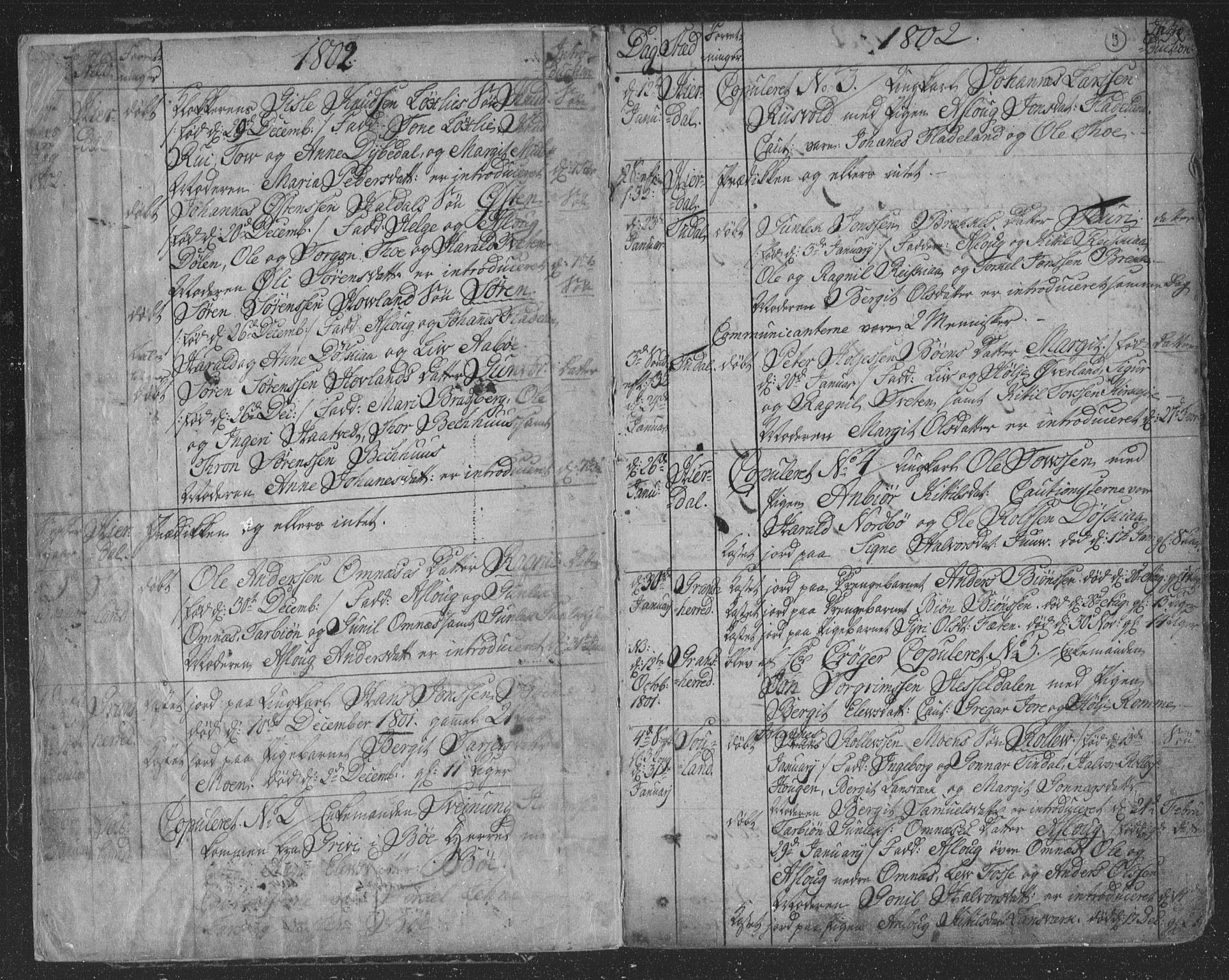 Hjartdal kirkebøker, AV/SAKO-A-270/F/Fa/L0006: Parish register (official) no. I 6, 1801-1814, p. 3