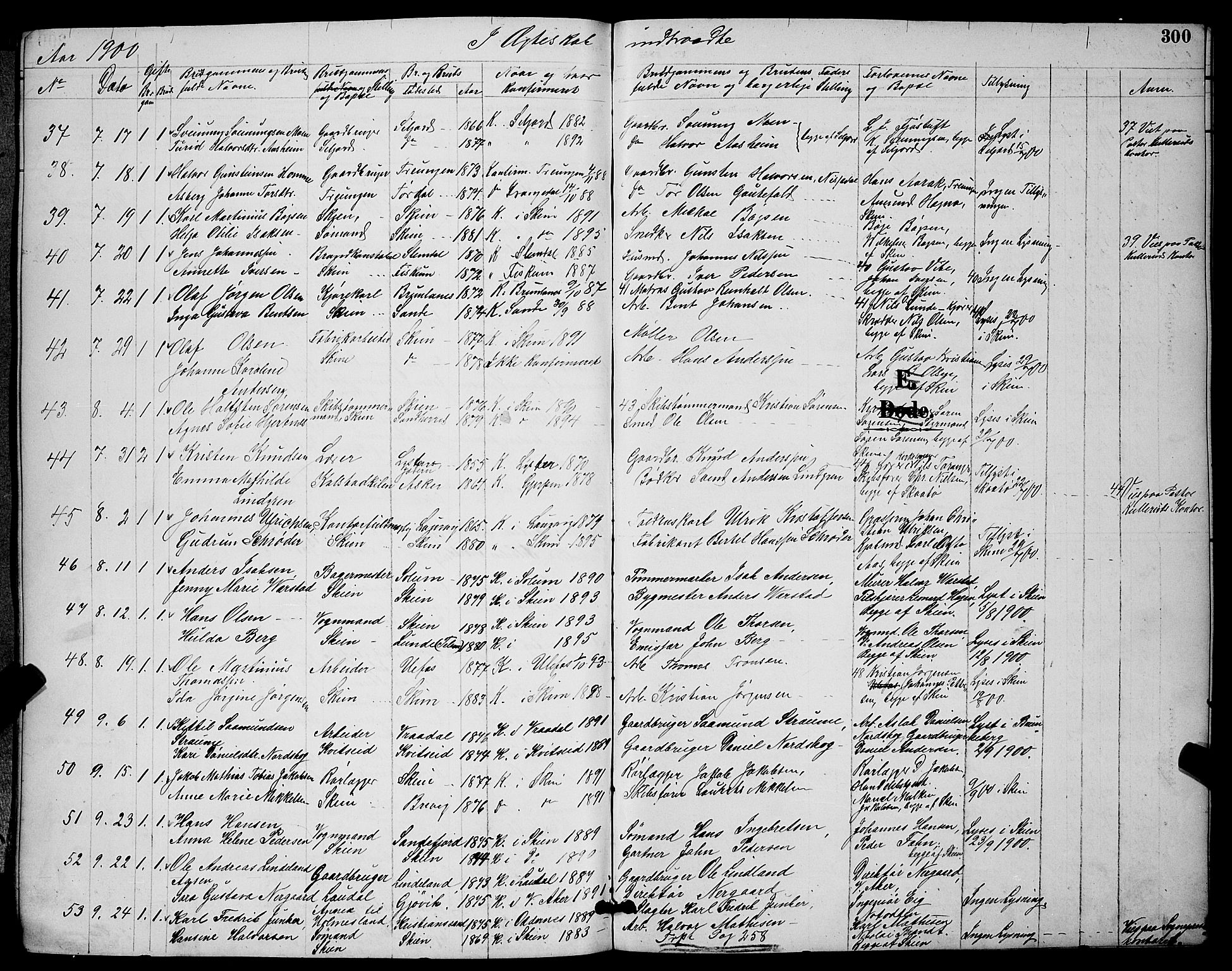 Skien kirkebøker, AV/SAKO-A-302/G/Ga/L0007: Parish register (copy) no. 7, 1891-1900, p. 300
