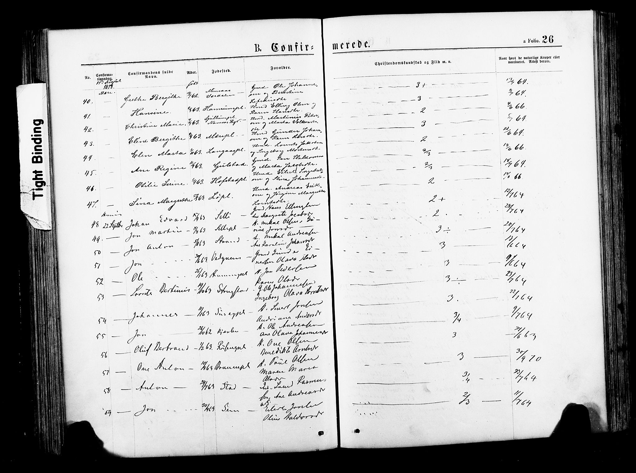 Ministerialprotokoller, klokkerbøker og fødselsregistre - Nord-Trøndelag, AV/SAT-A-1458/735/L0348: Parish register (official) no. 735A09 /1, 1873-1883, p. 26