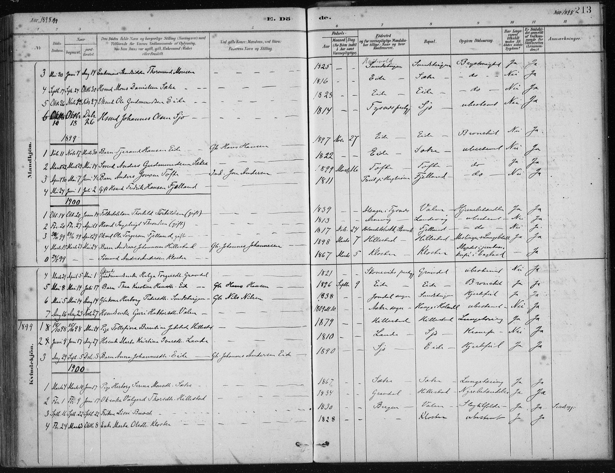 Fjelberg sokneprestembete, SAB/A-75201/H/Haa: Parish register (official) no. C  1, 1879-1918, p. 213