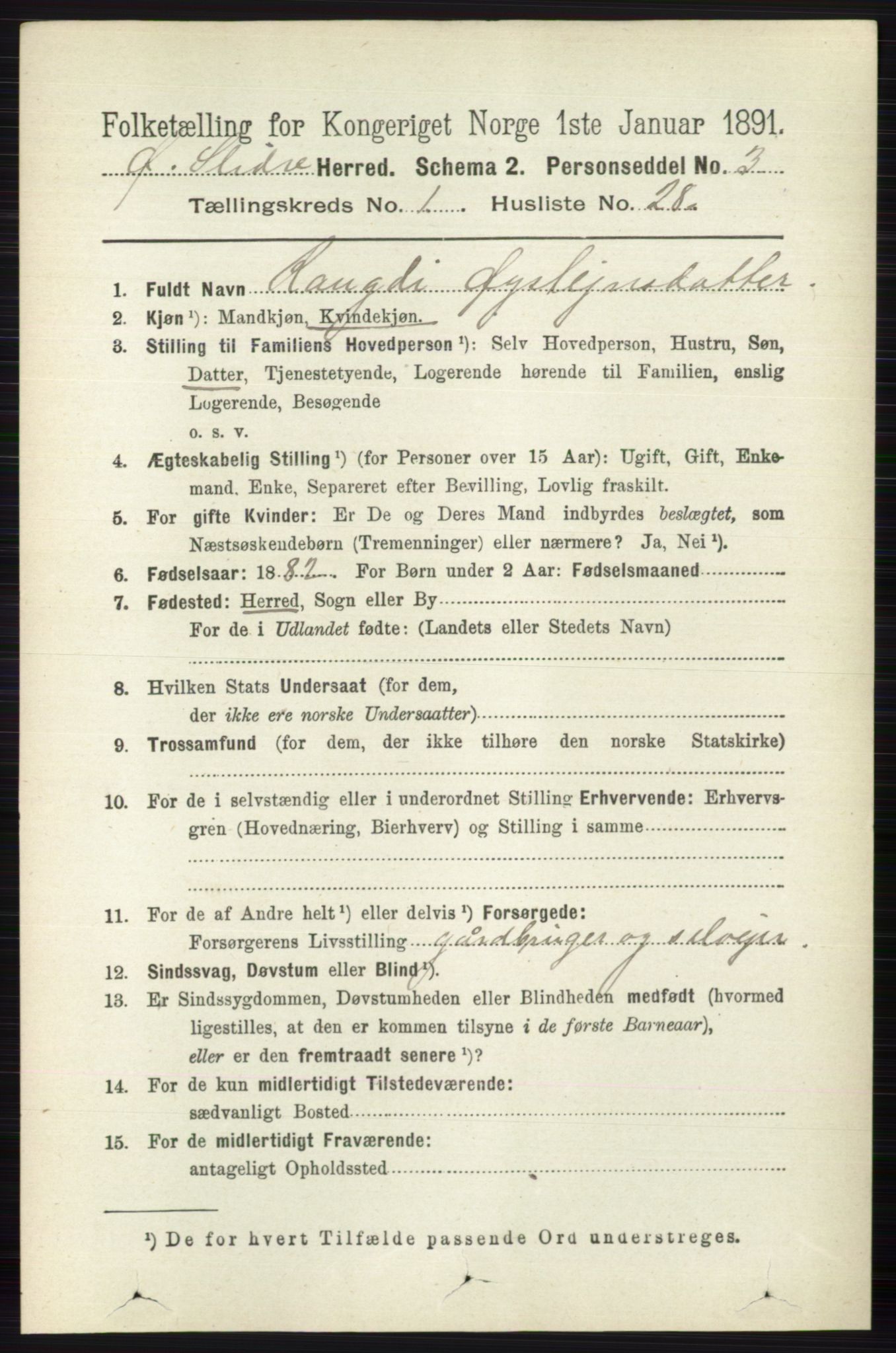 RA, 1891 census for 0544 Øystre Slidre, 1891, p. 205