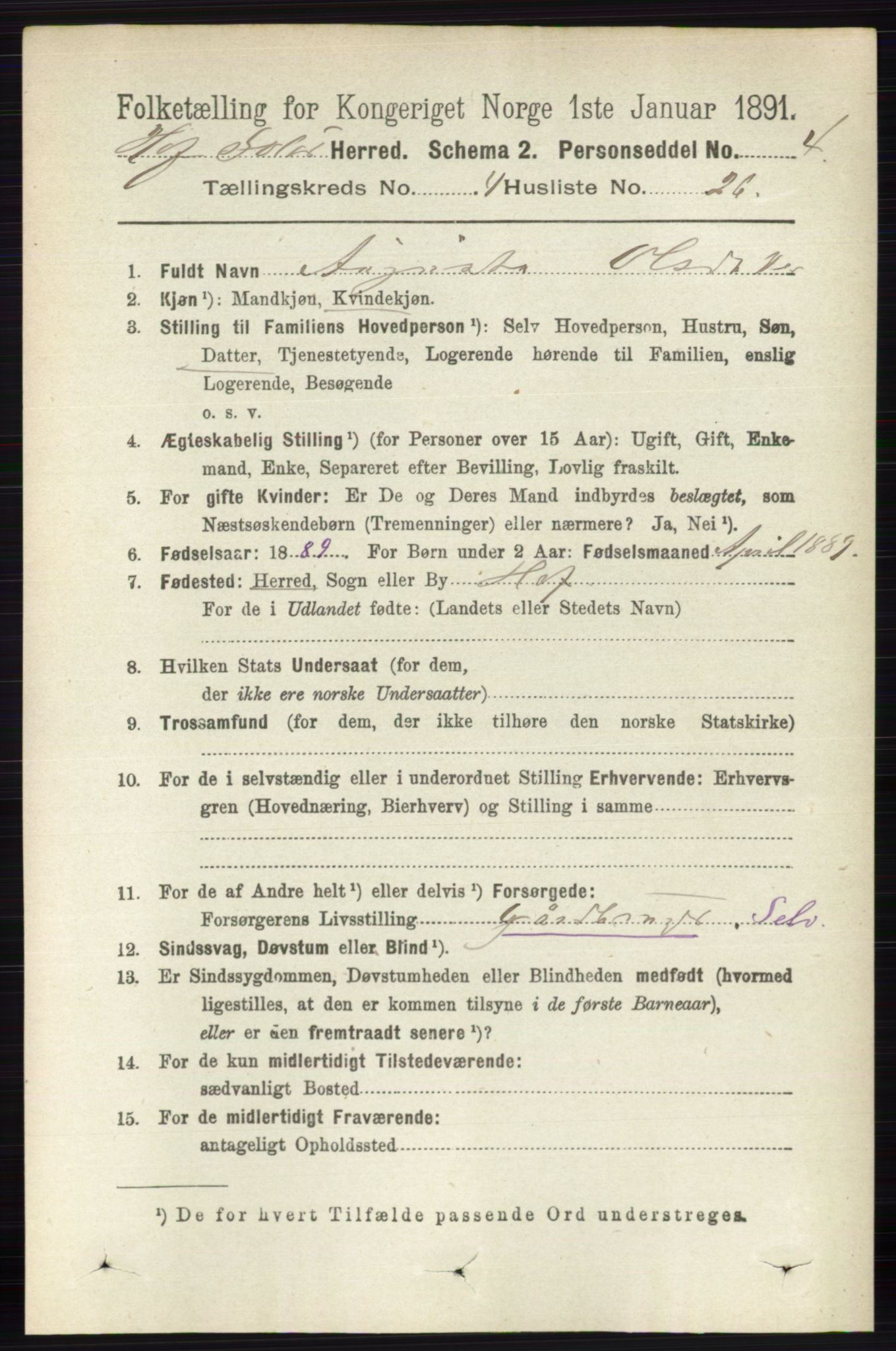 RA, 1891 census for 0424 Hof, 1891, p. 1608