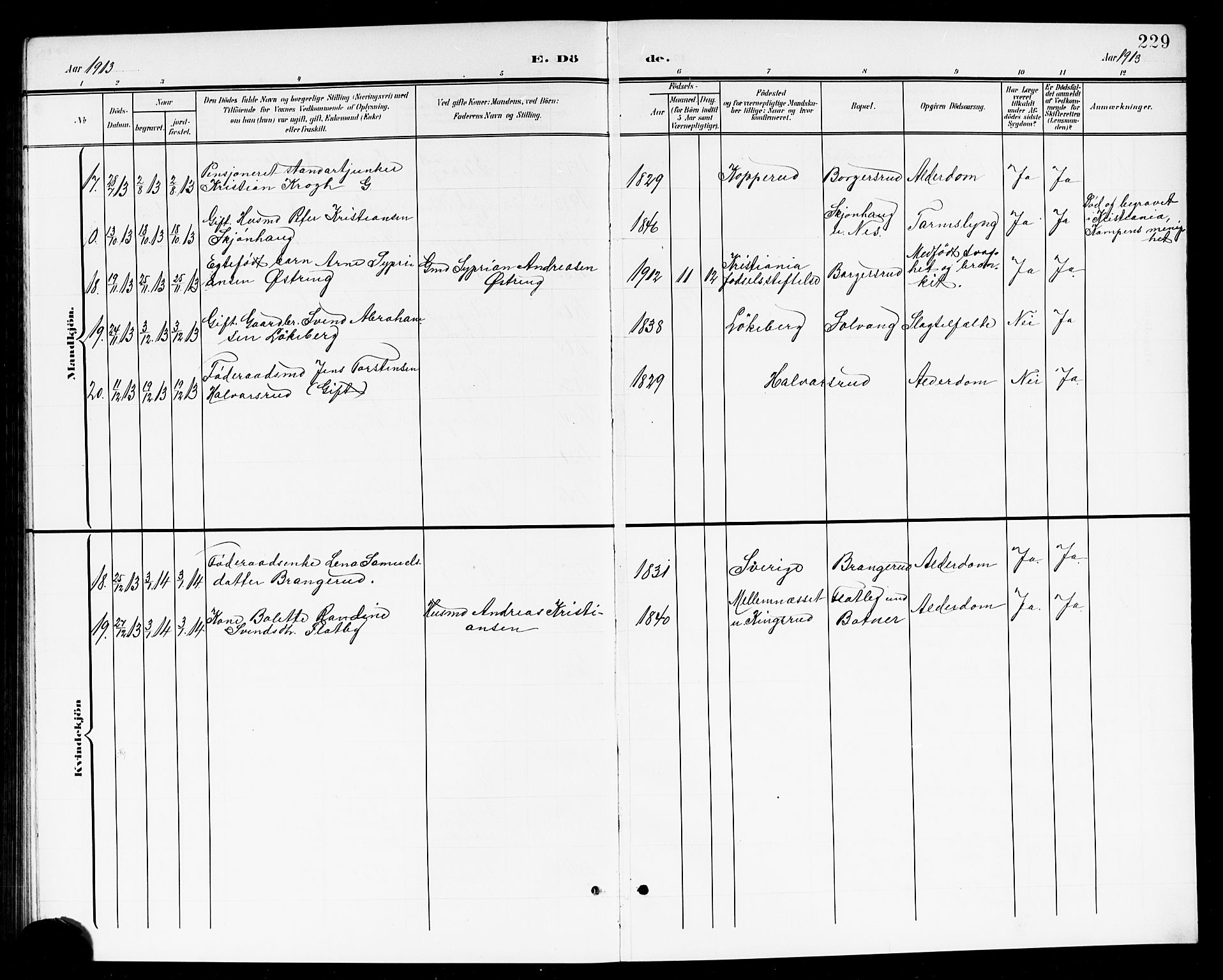 Høland prestekontor Kirkebøker, SAO/A-10346a/G/Ga/L0007: Parish register (copy) no. I 7, 1902-1914, p. 229