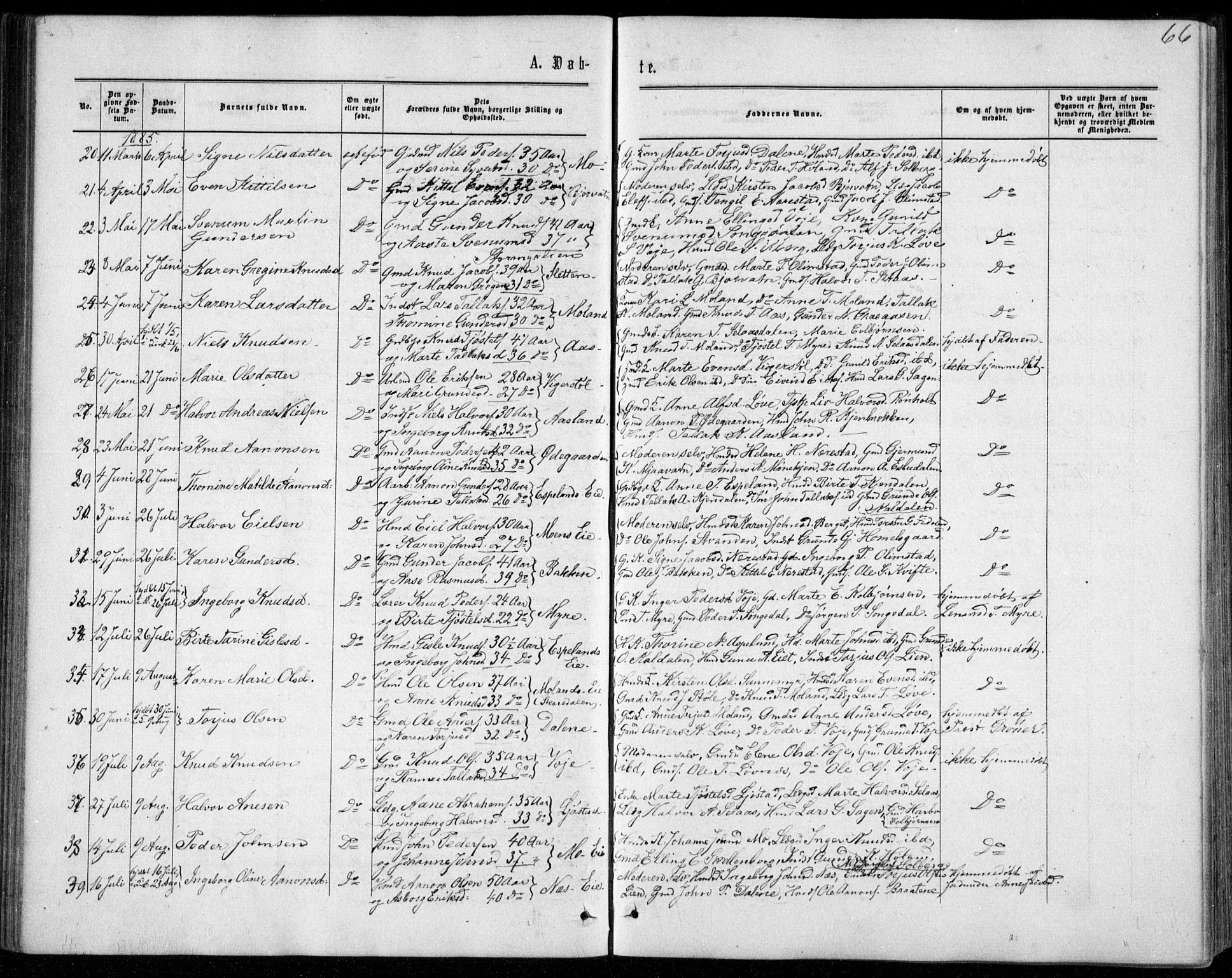 Gjerstad sokneprestkontor, AV/SAK-1111-0014/F/Fb/Fbb/L0003: Parish register (copy) no. B 3, 1862-1889, p. 66