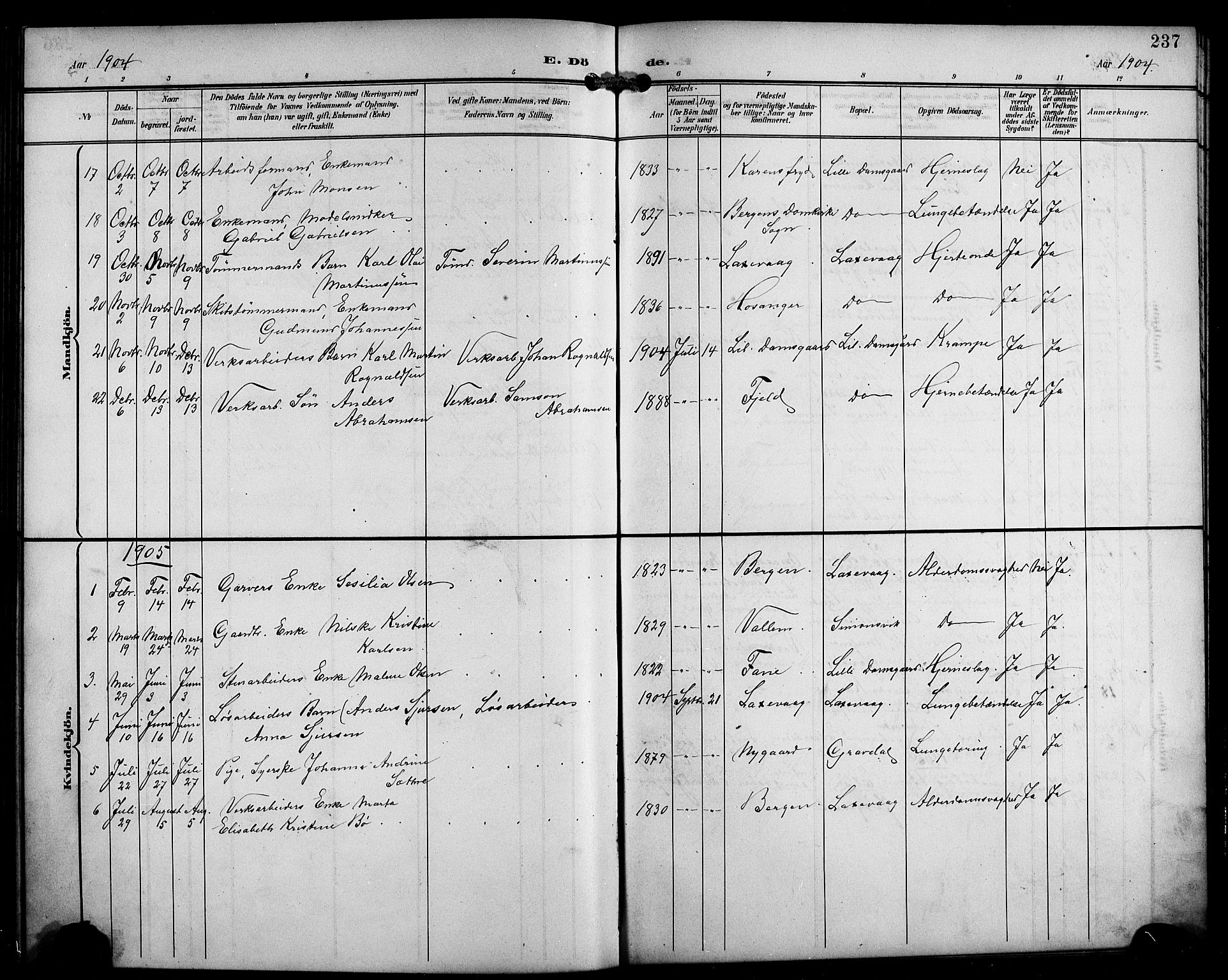 Laksevåg Sokneprestembete, SAB/A-76501/H/Ha/Hab/Haba/L0004: Parish register (copy) no. A 4, 1899-1909, p. 237