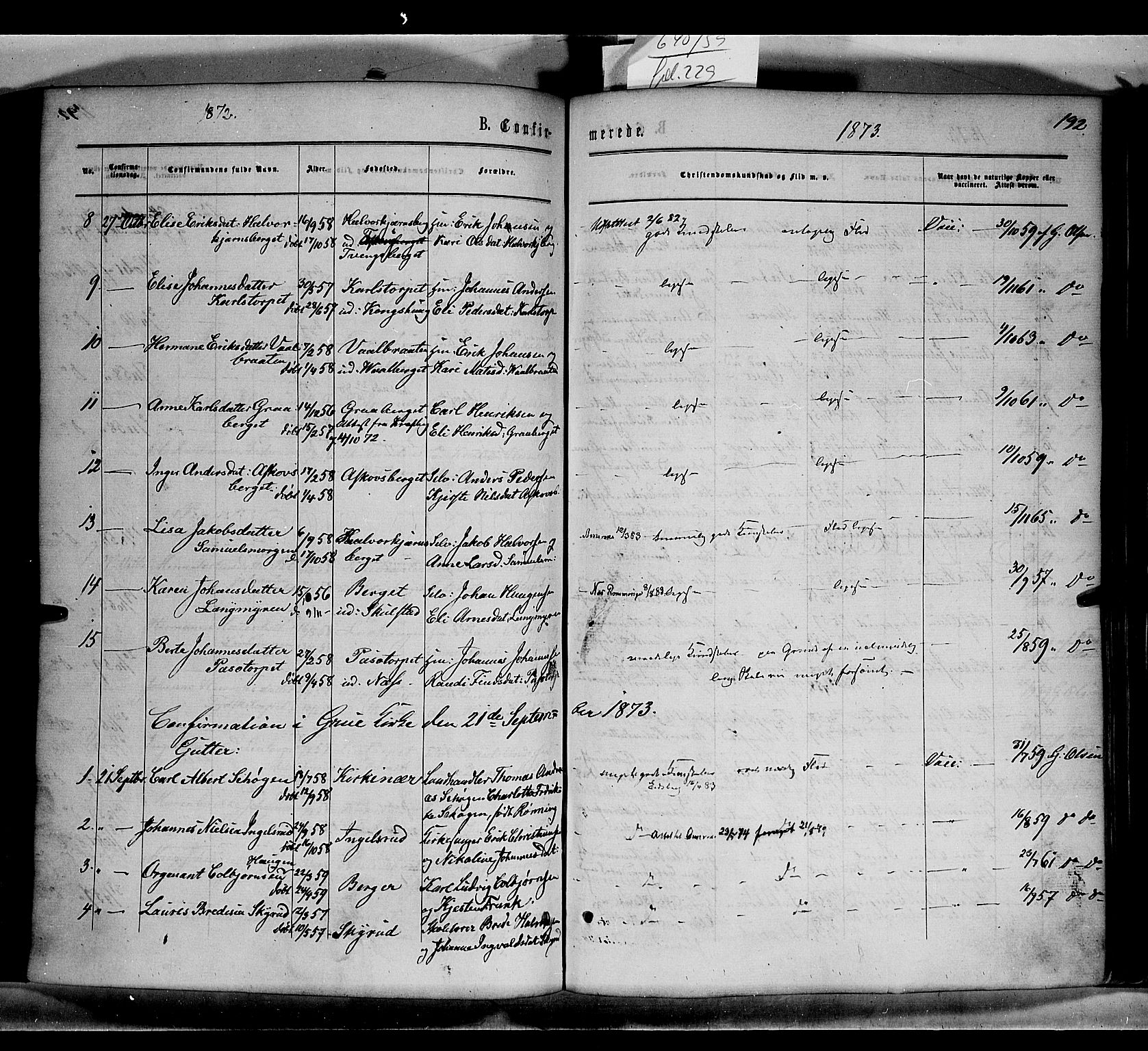 Grue prestekontor, SAH/PREST-036/H/Ha/Haa/L0010: Parish register (official) no. 10, 1864-1873, p. 192