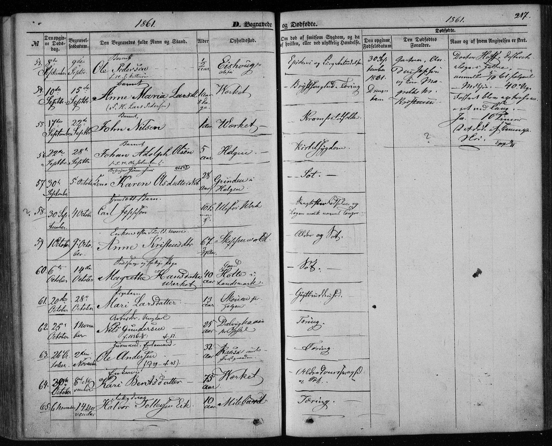 Holla kirkebøker, AV/SAKO-A-272/F/Fa/L0006: Parish register (official) no. 6, 1861-1869, p. 217