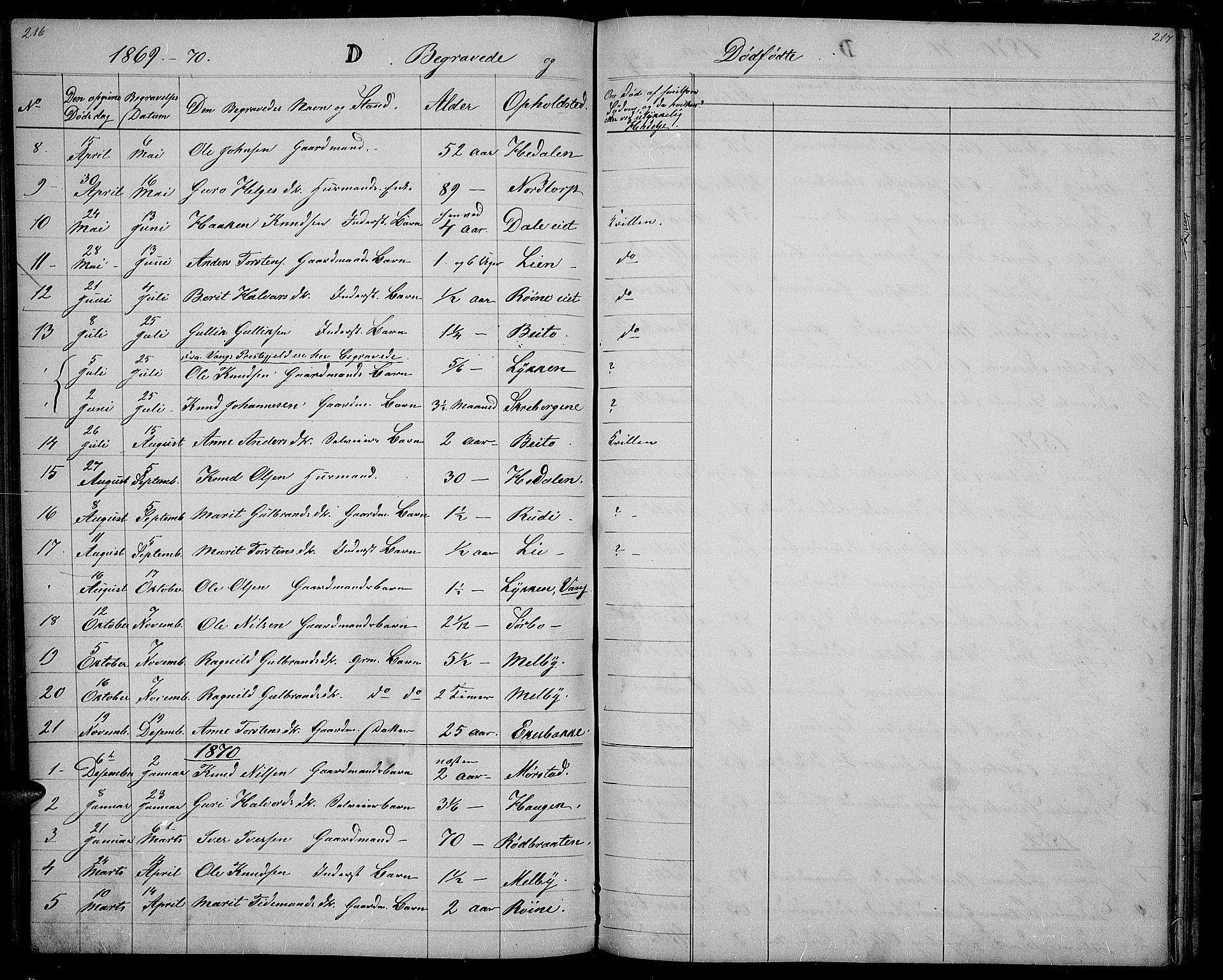 Øystre Slidre prestekontor, SAH/PREST-138/H/Ha/Hab/L0001: Parish register (copy) no. 1, 1866-1886, p. 216-217