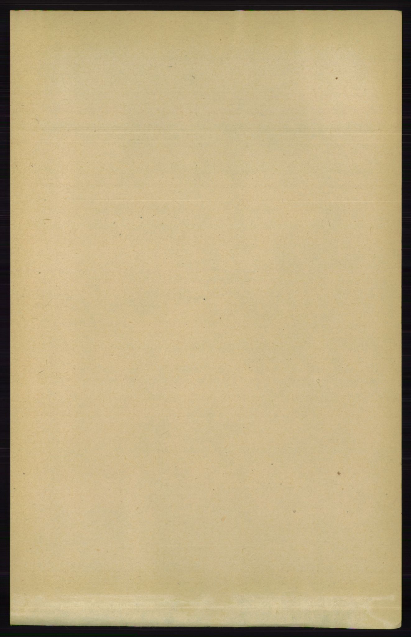 RA, 1891 census for 0913 Søndeled, 1891, p. 3905