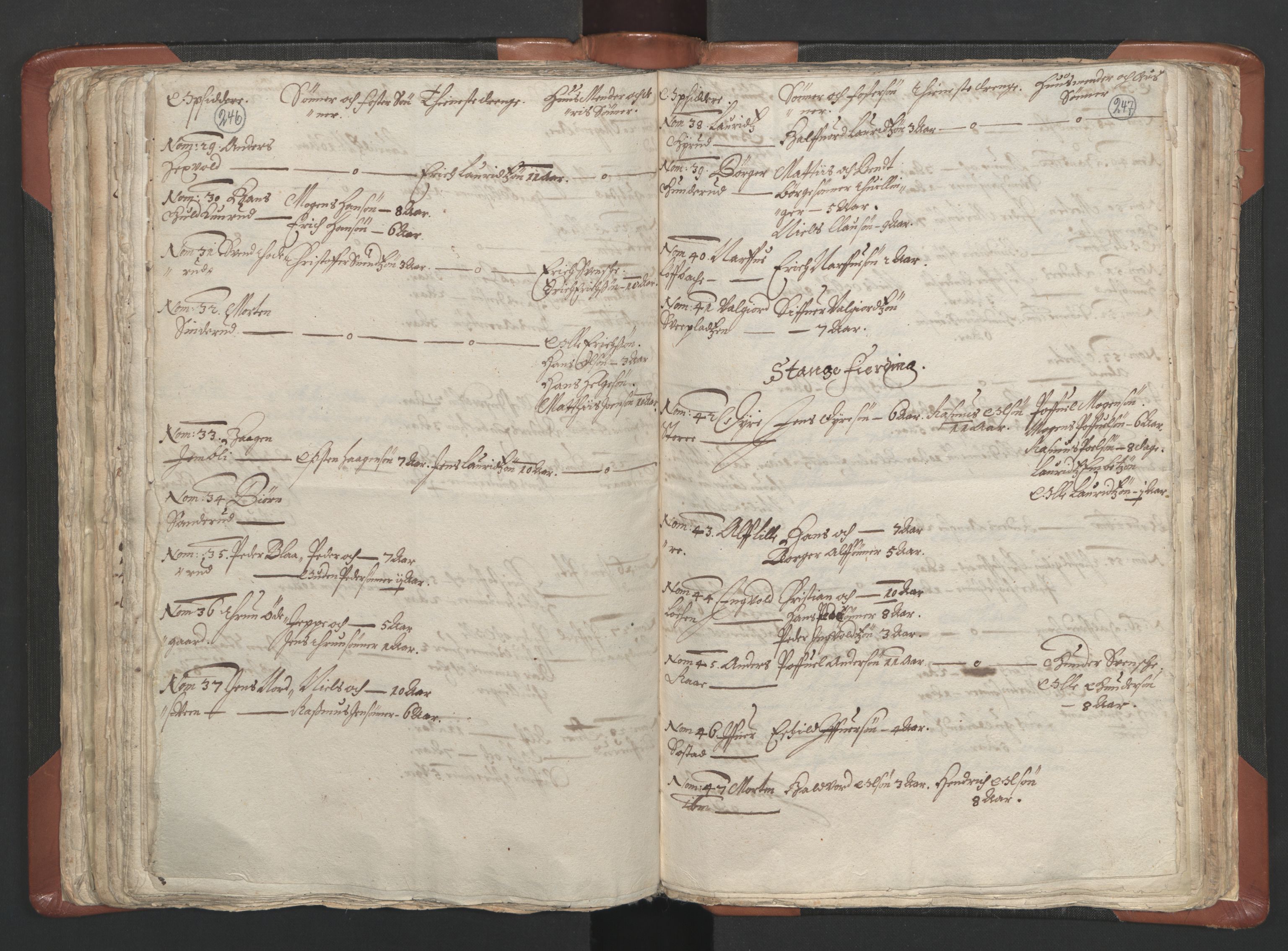 RA, Vicar's Census 1664-1666, no. 5: Hedmark deanery, 1664-1666, p. 246-247