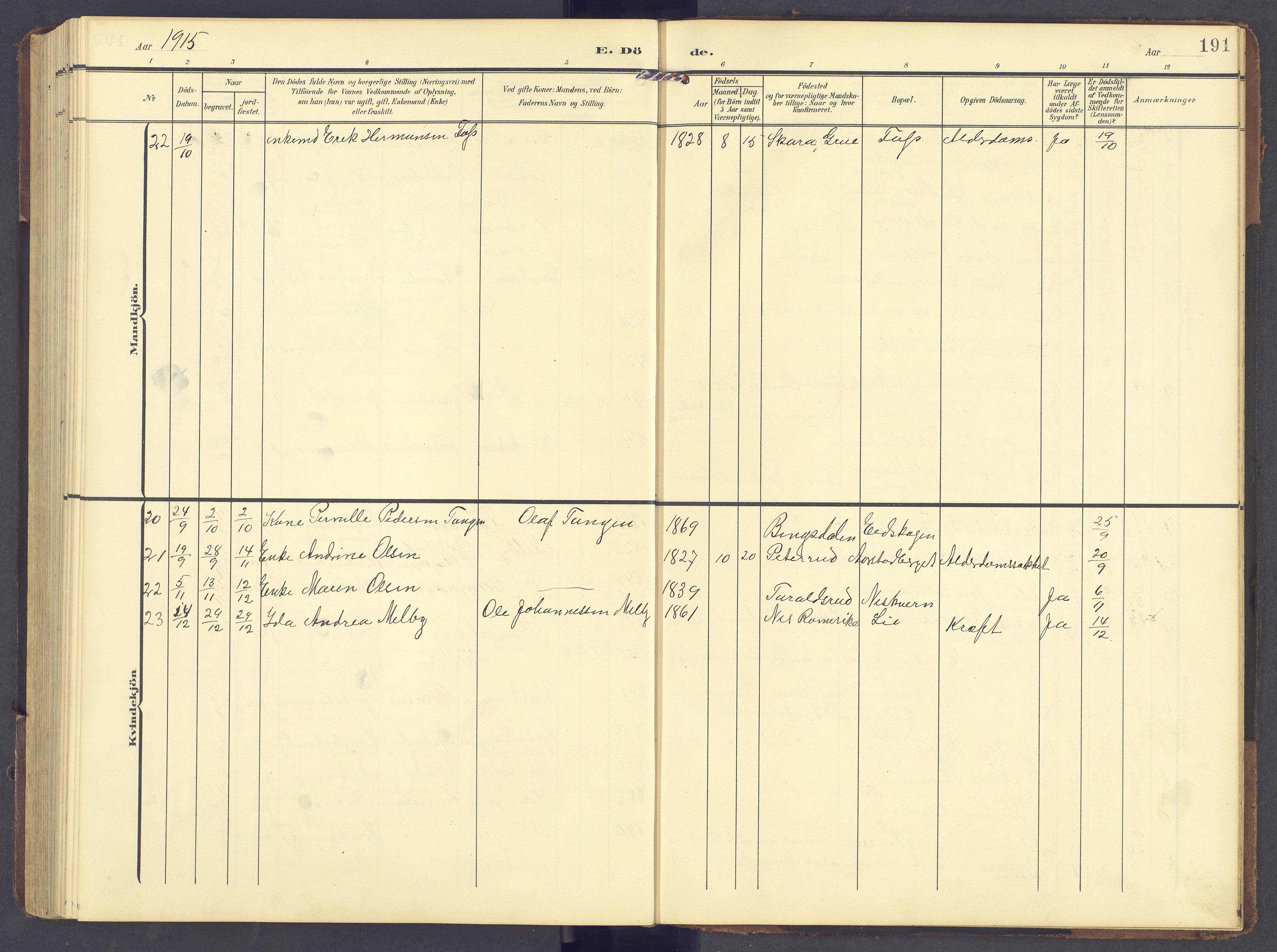 Brandval prestekontor, AV/SAH-PREST-034/H/Ha/Hab/L0003: Parish register (copy) no. 3, 1904-1917, p. 191