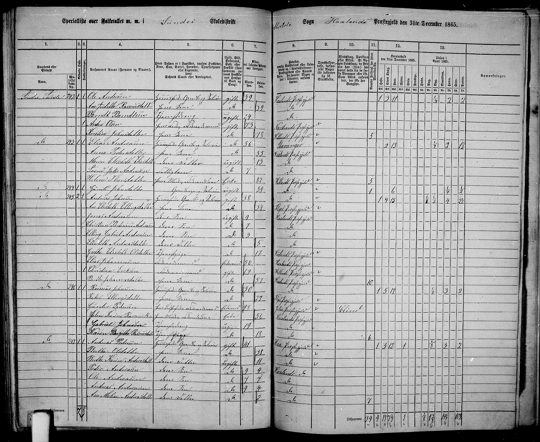 RA, 1865 census for Håland, 1865, p. 113