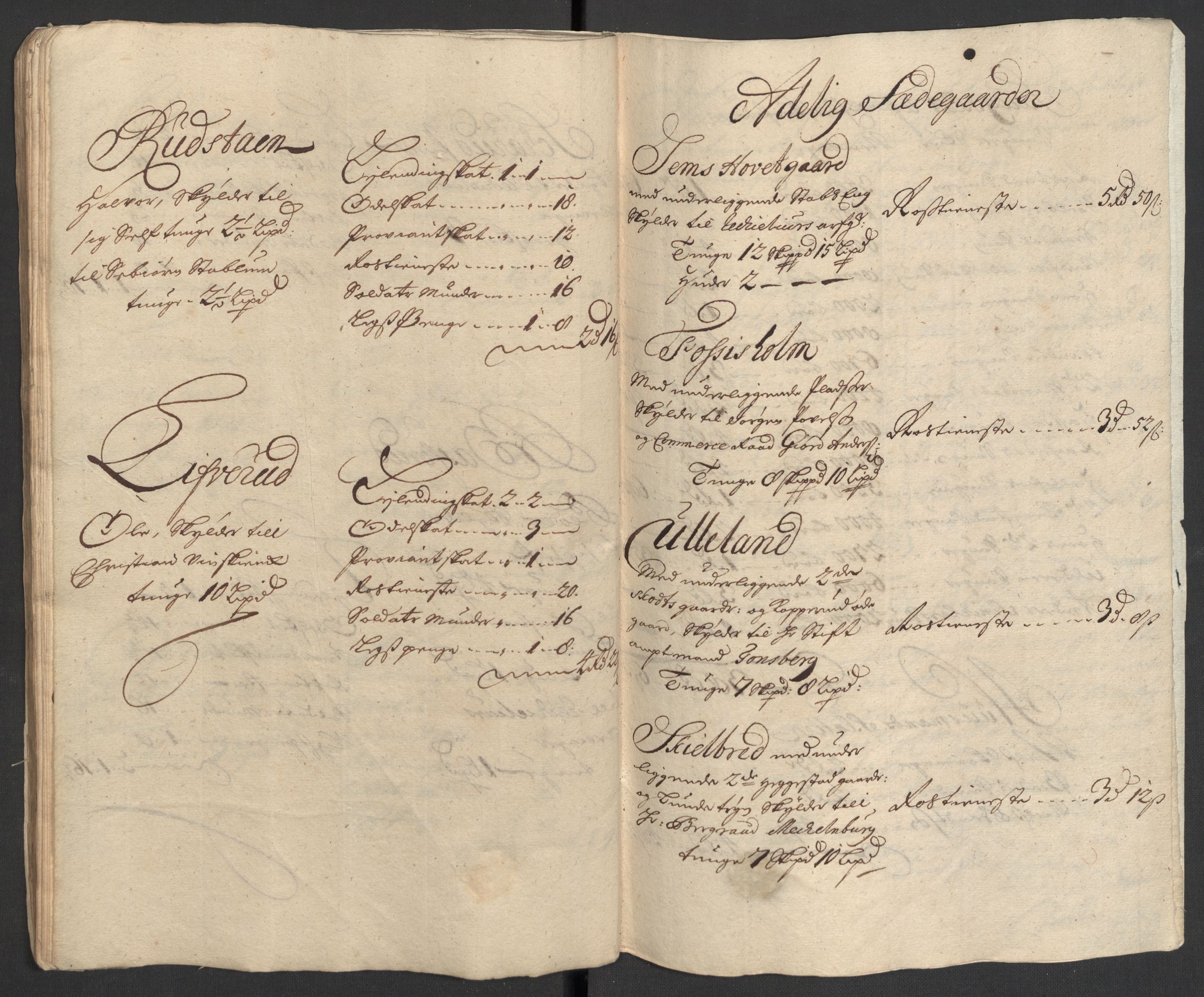Rentekammeret inntil 1814, Reviderte regnskaper, Fogderegnskap, AV/RA-EA-4092/R30/L1696: Fogderegnskap Hurum, Røyken, Eiker og Lier, 1698-1699, p. 322