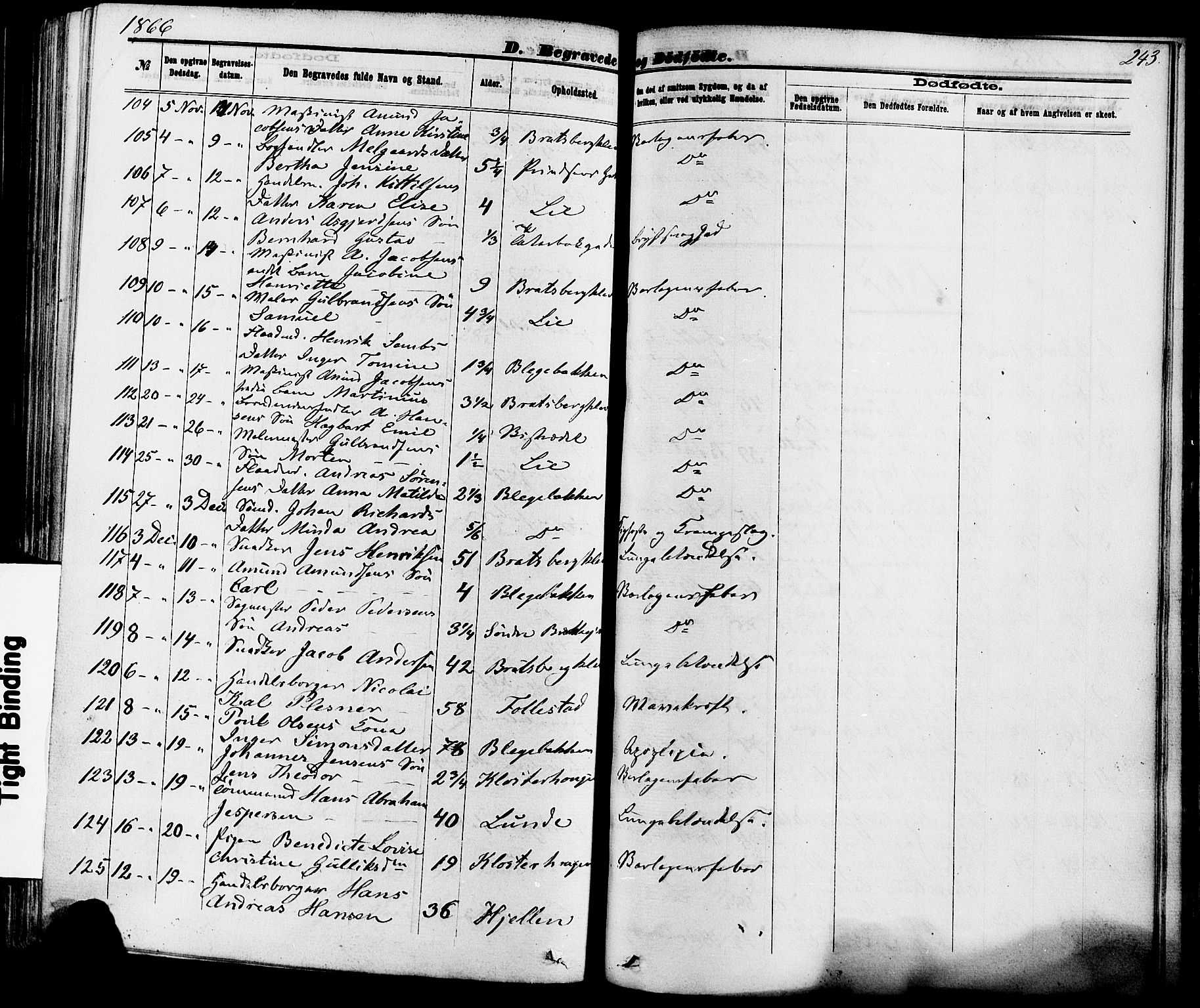 Skien kirkebøker, SAKO/A-302/F/Fa/L0008: Parish register (official) no. 8, 1866-1877, p. 243
