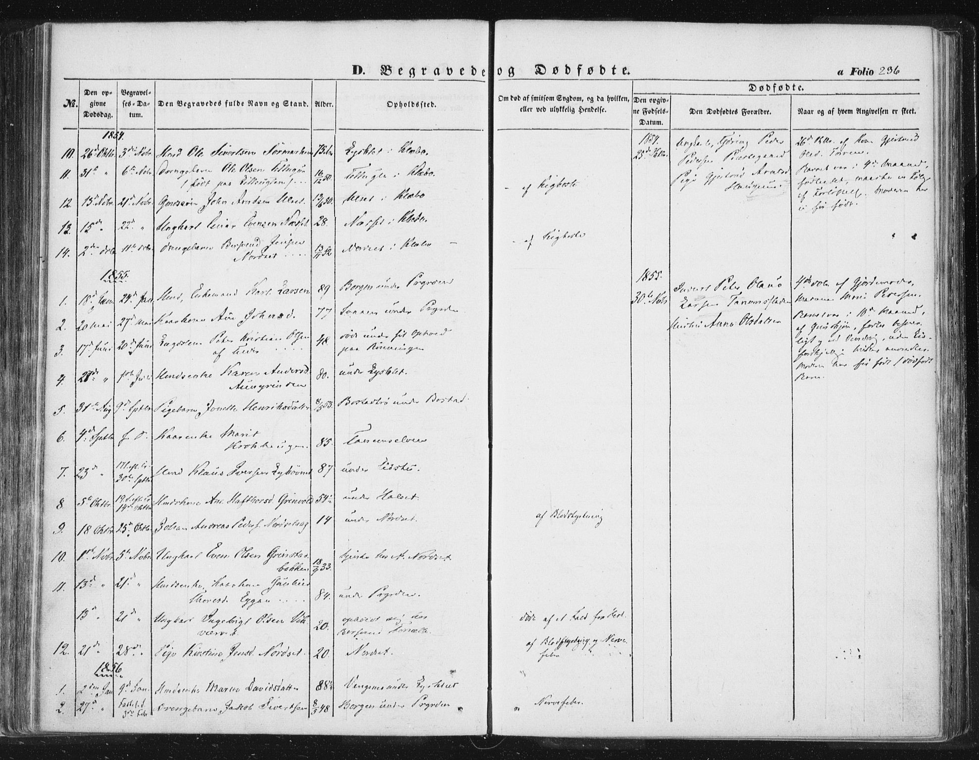 Ministerialprotokoller, klokkerbøker og fødselsregistre - Sør-Trøndelag, SAT/A-1456/618/L0441: Parish register (official) no. 618A05, 1843-1862, p. 236