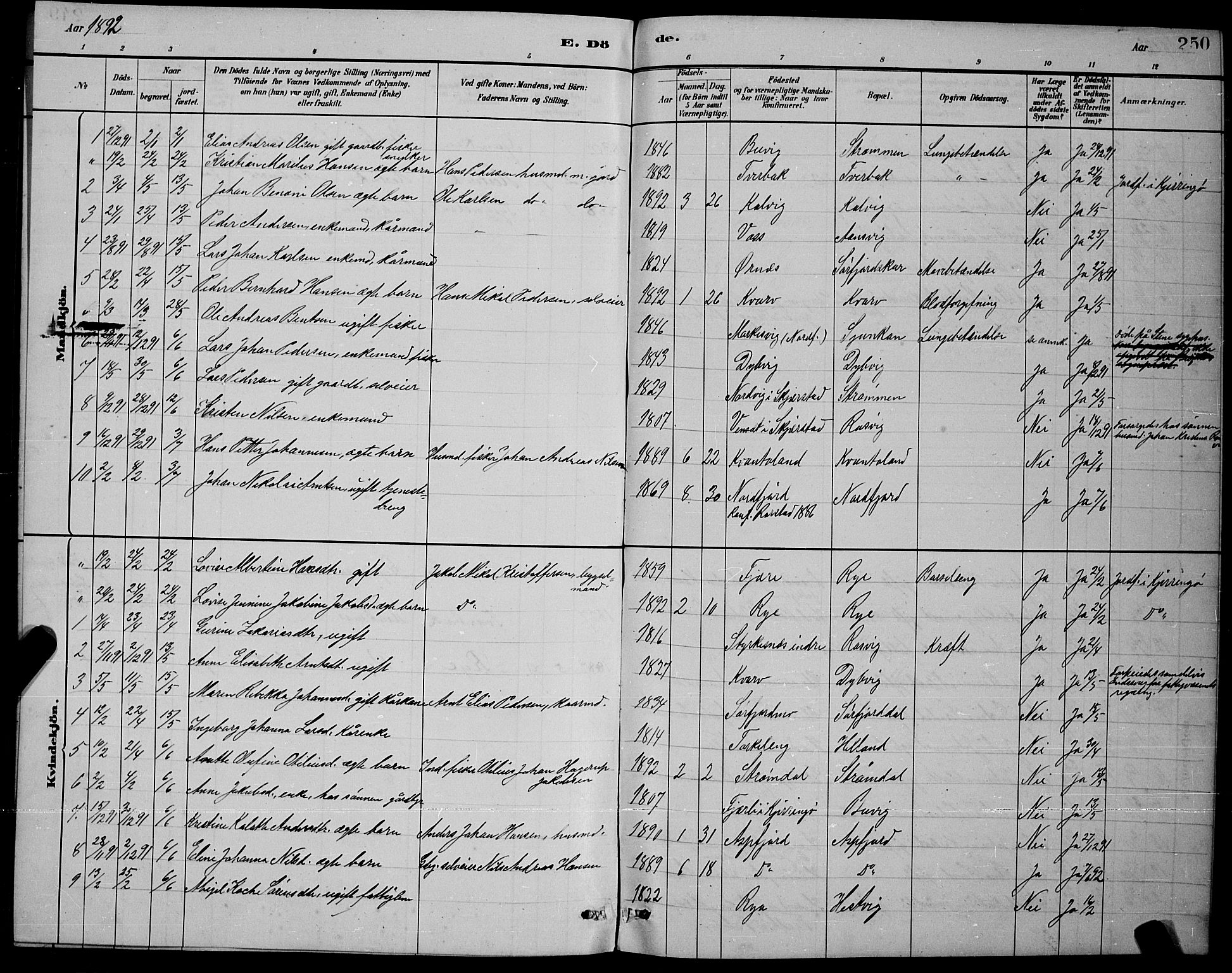 Ministerialprotokoller, klokkerbøker og fødselsregistre - Nordland, AV/SAT-A-1459/853/L0772: Parish register (official) no. 853A11, 1881-1900, p. 250