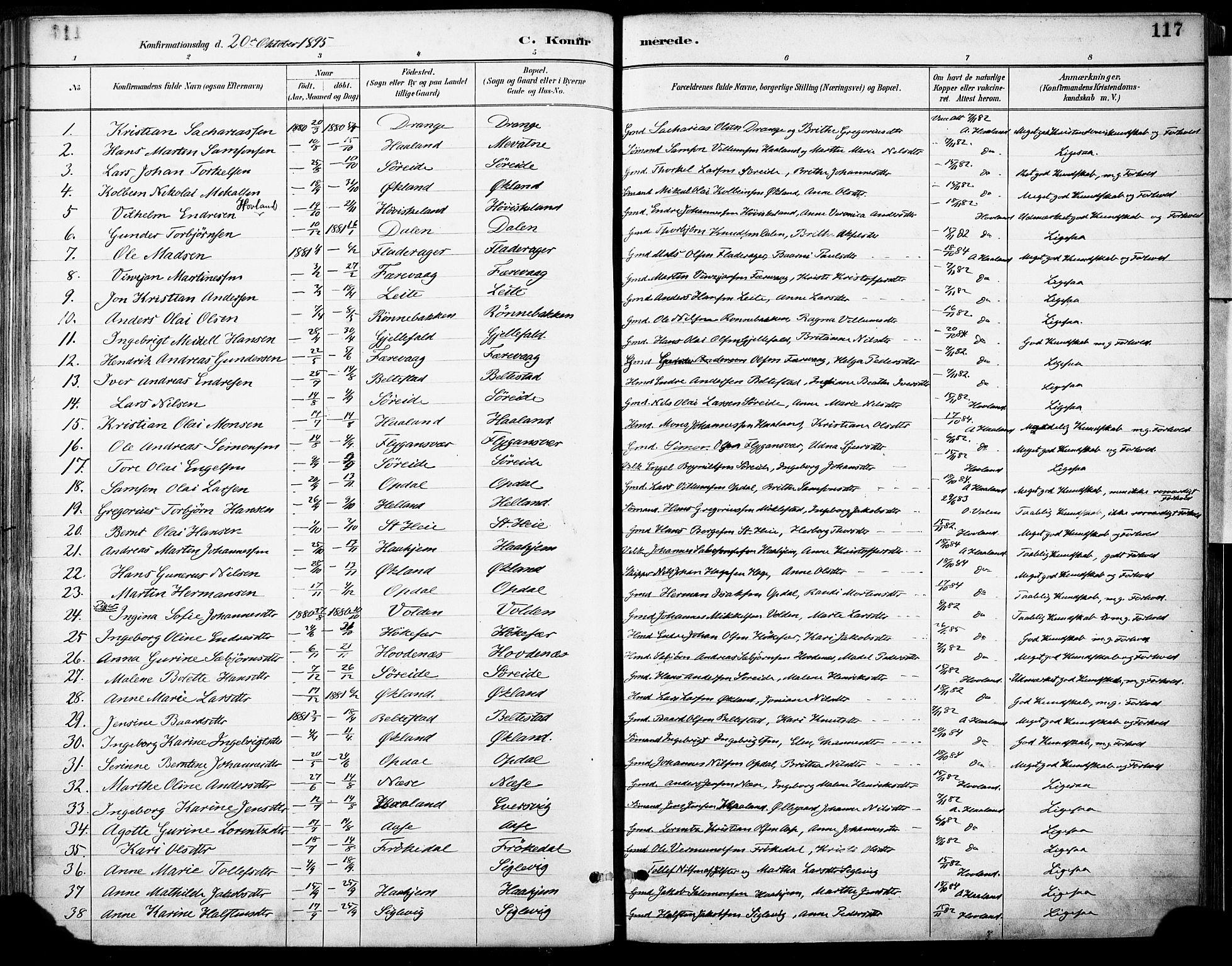 Tysnes sokneprestembete, AV/SAB-A-78601/H/Haa: Parish register (official) no. D 1, 1887-1904, p. 117