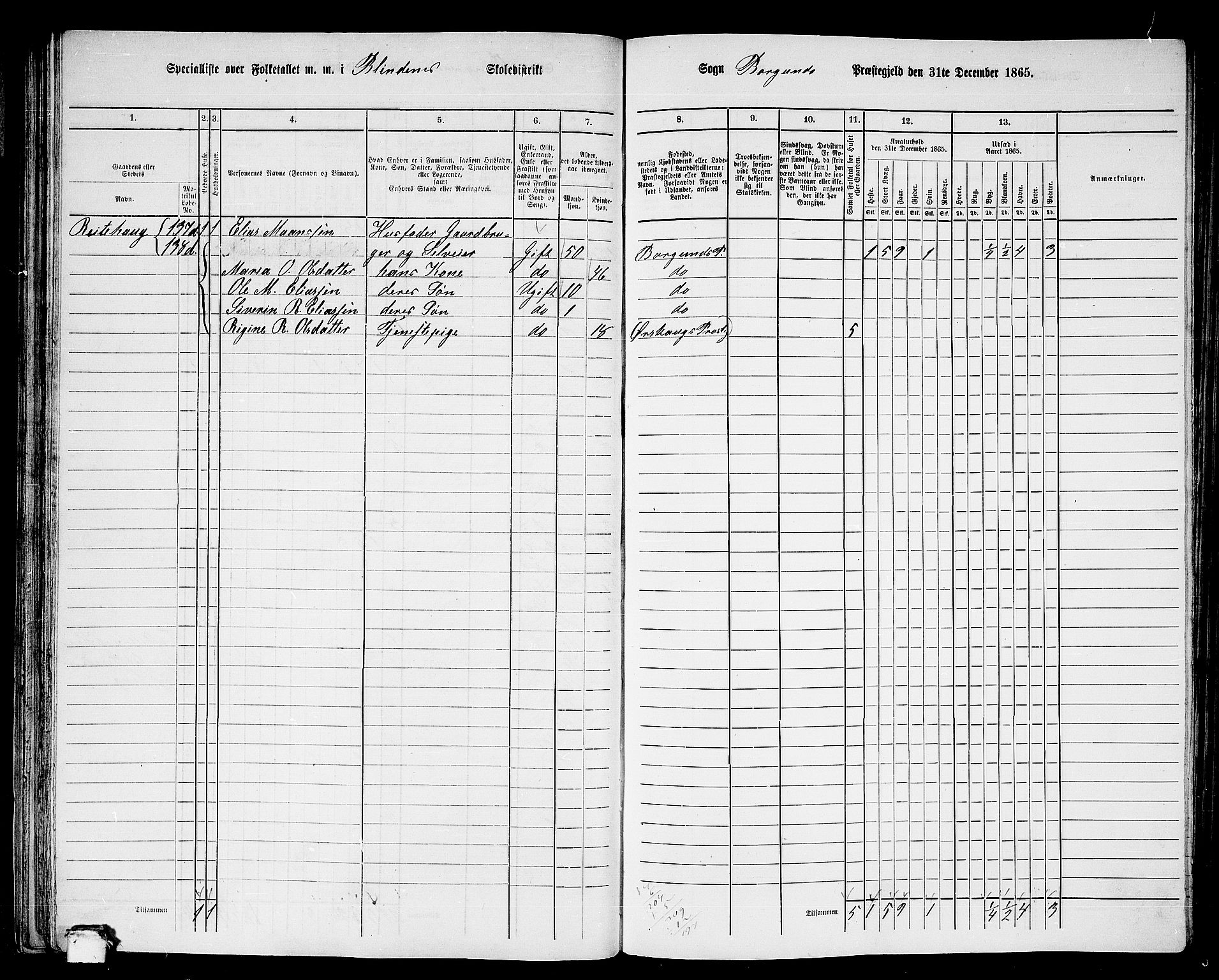 RA, 1865 census for Borgund, 1865, p. 45